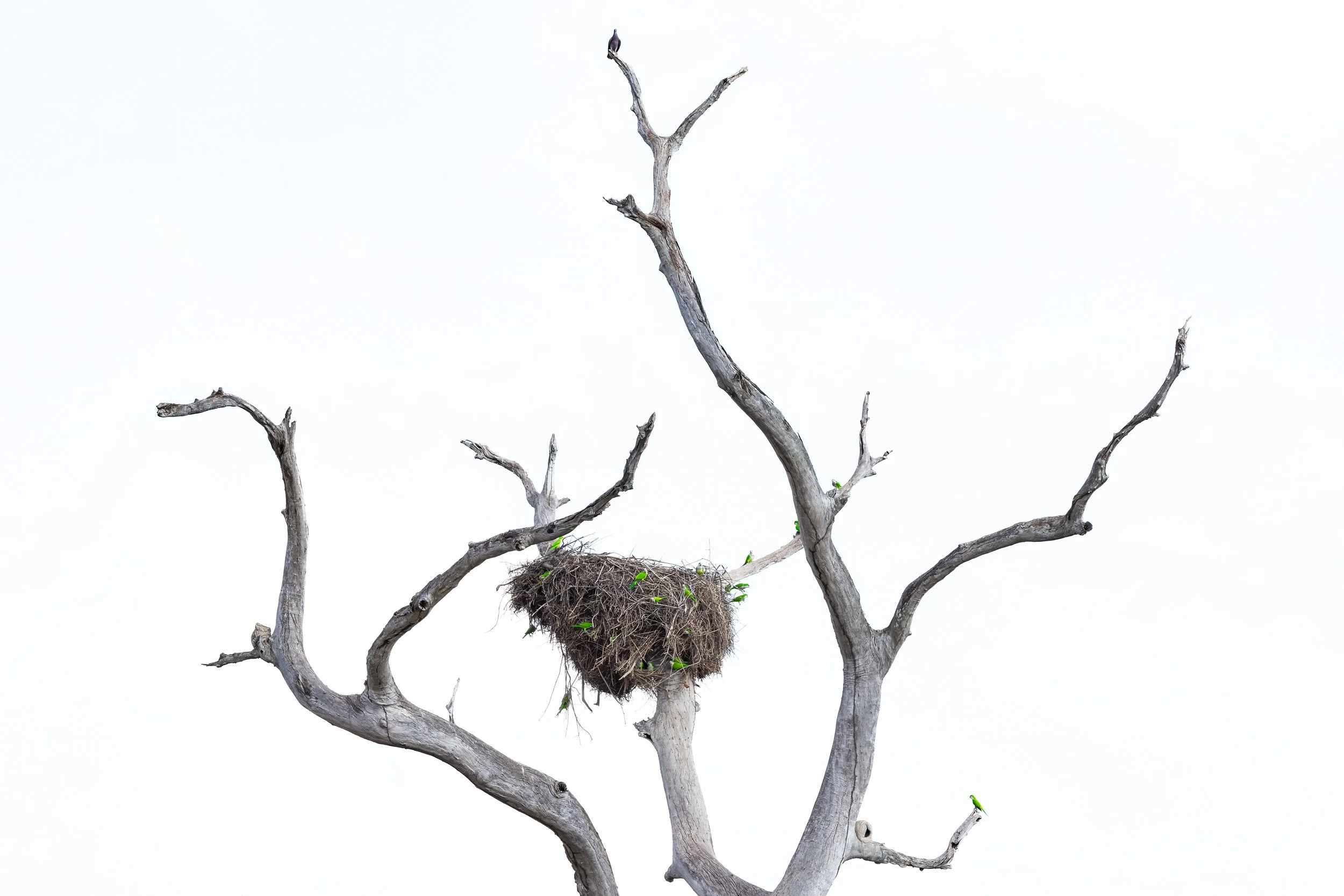 6D5A2103-Edit.jpg