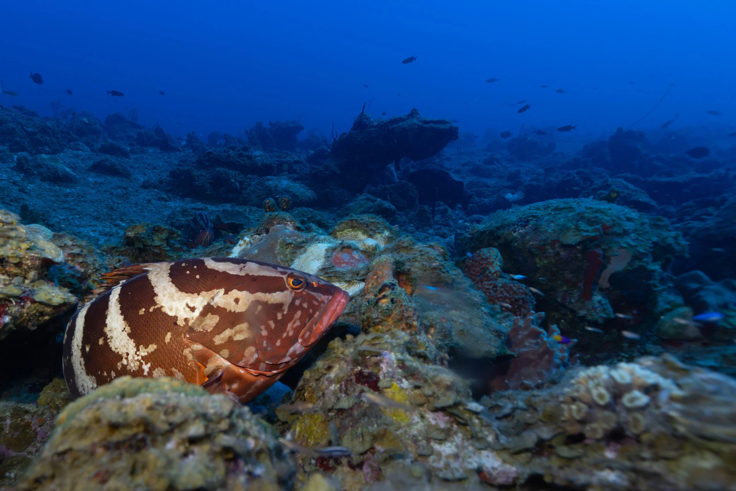 6D5A3936-Edit.jpg