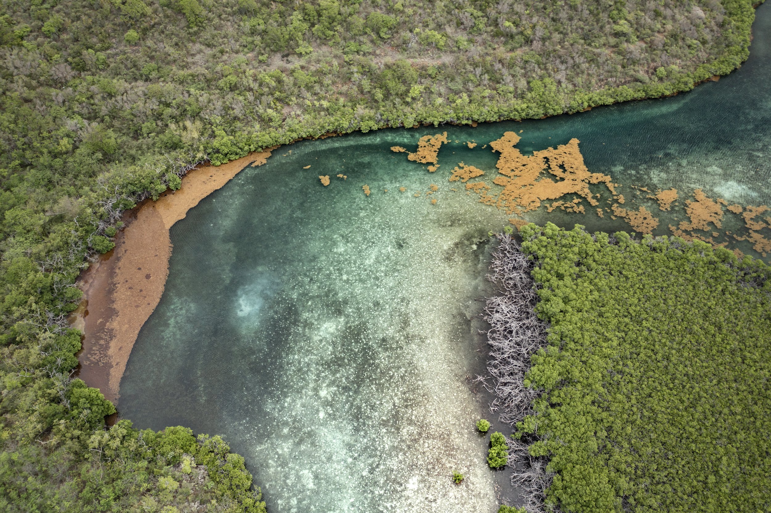 DJI_0595.jpg