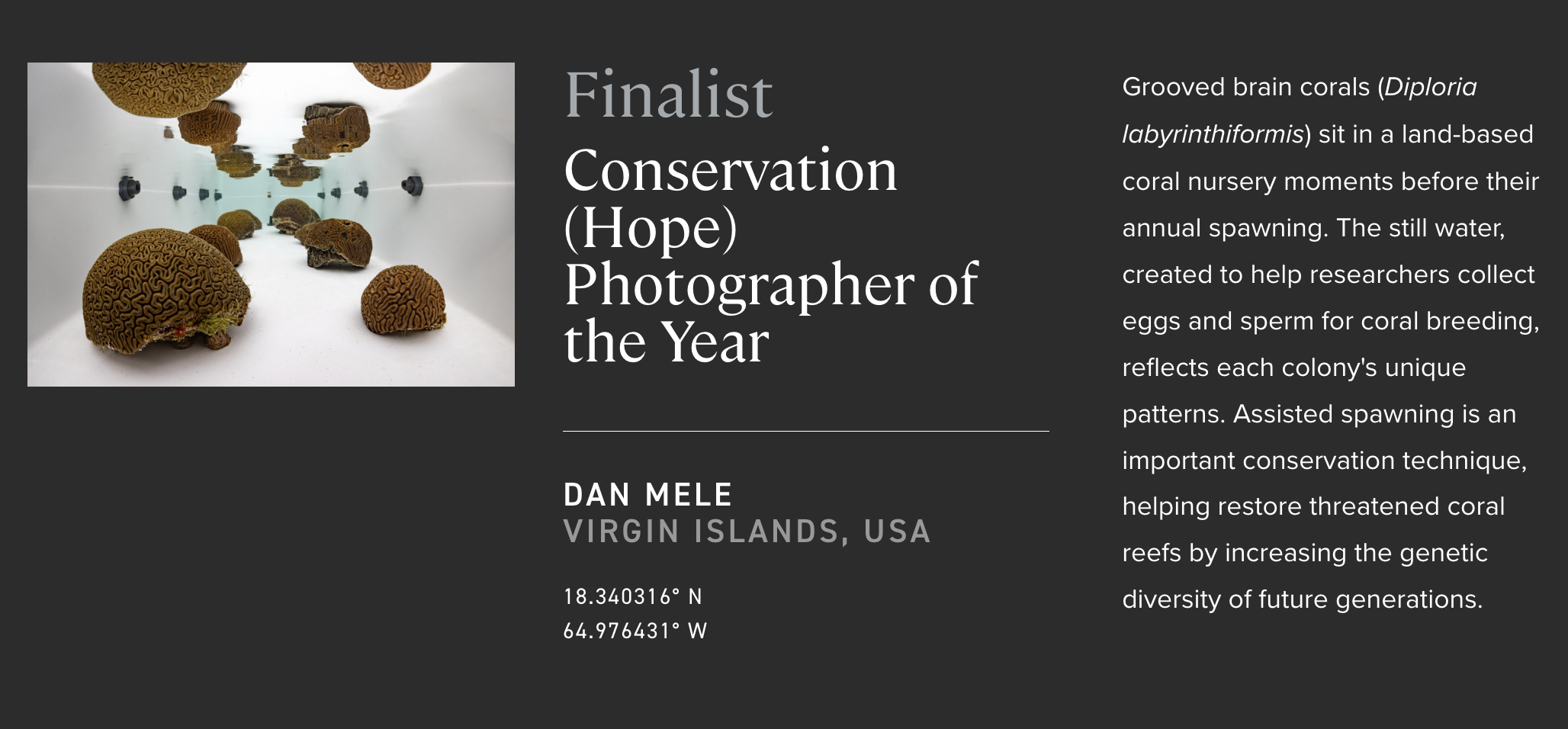 Highly Commended - Ocean Photographer of the Year 2026, Conservation (Hope)