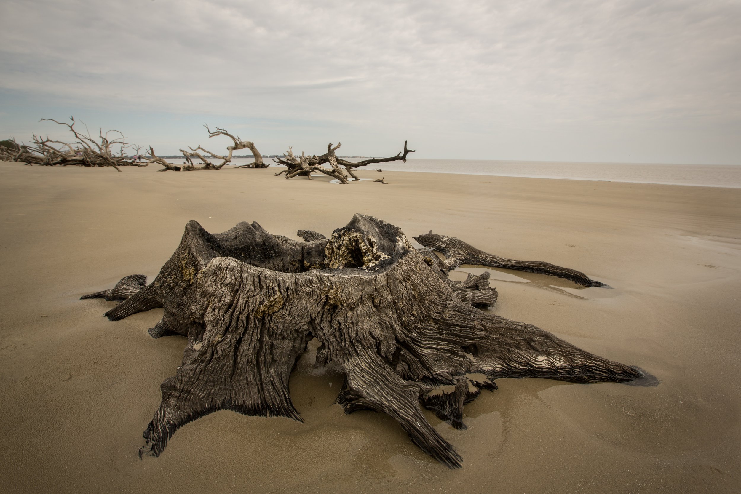 Jekyll Island, Georgia