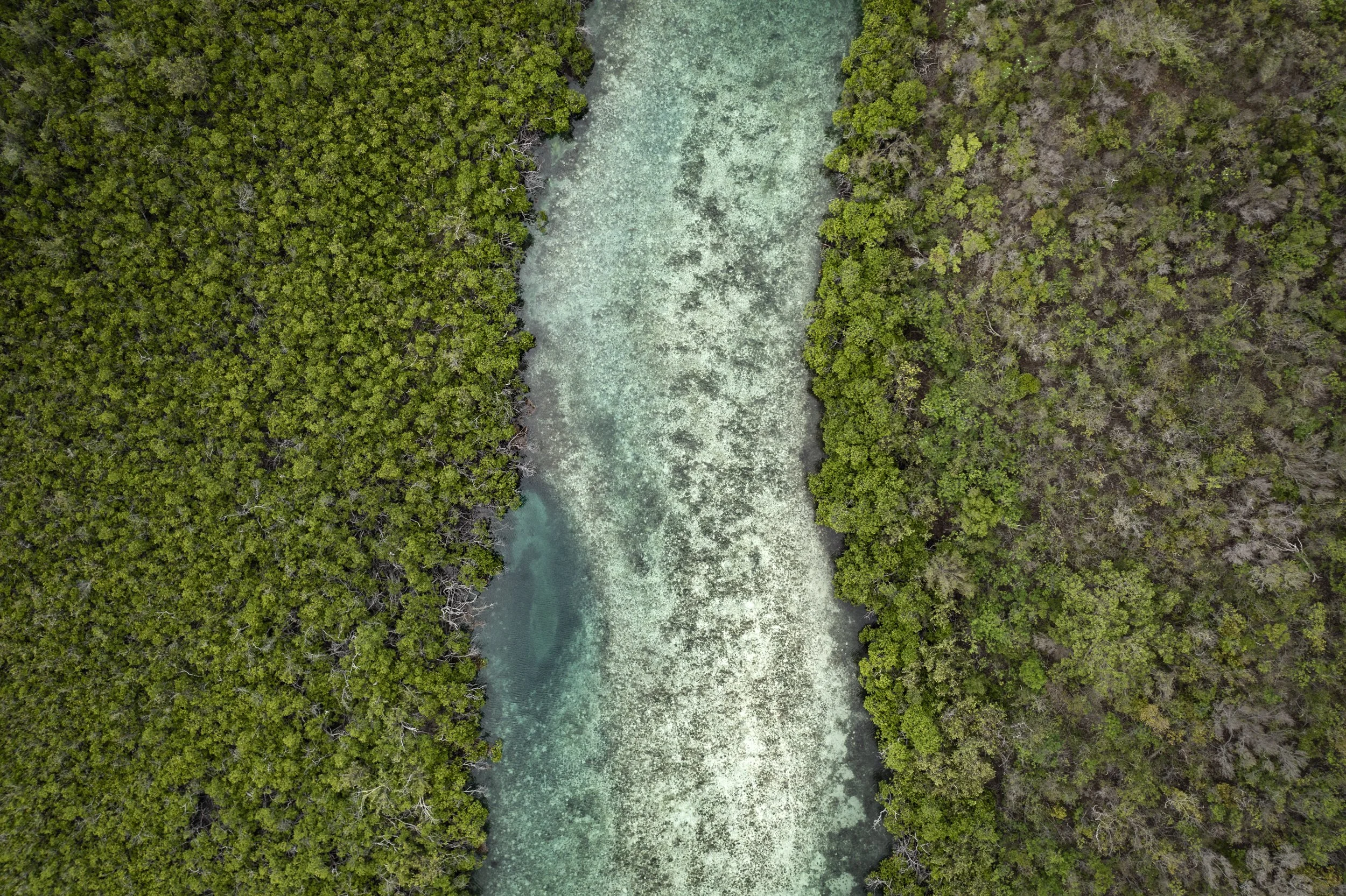 DJI_0600.jpg