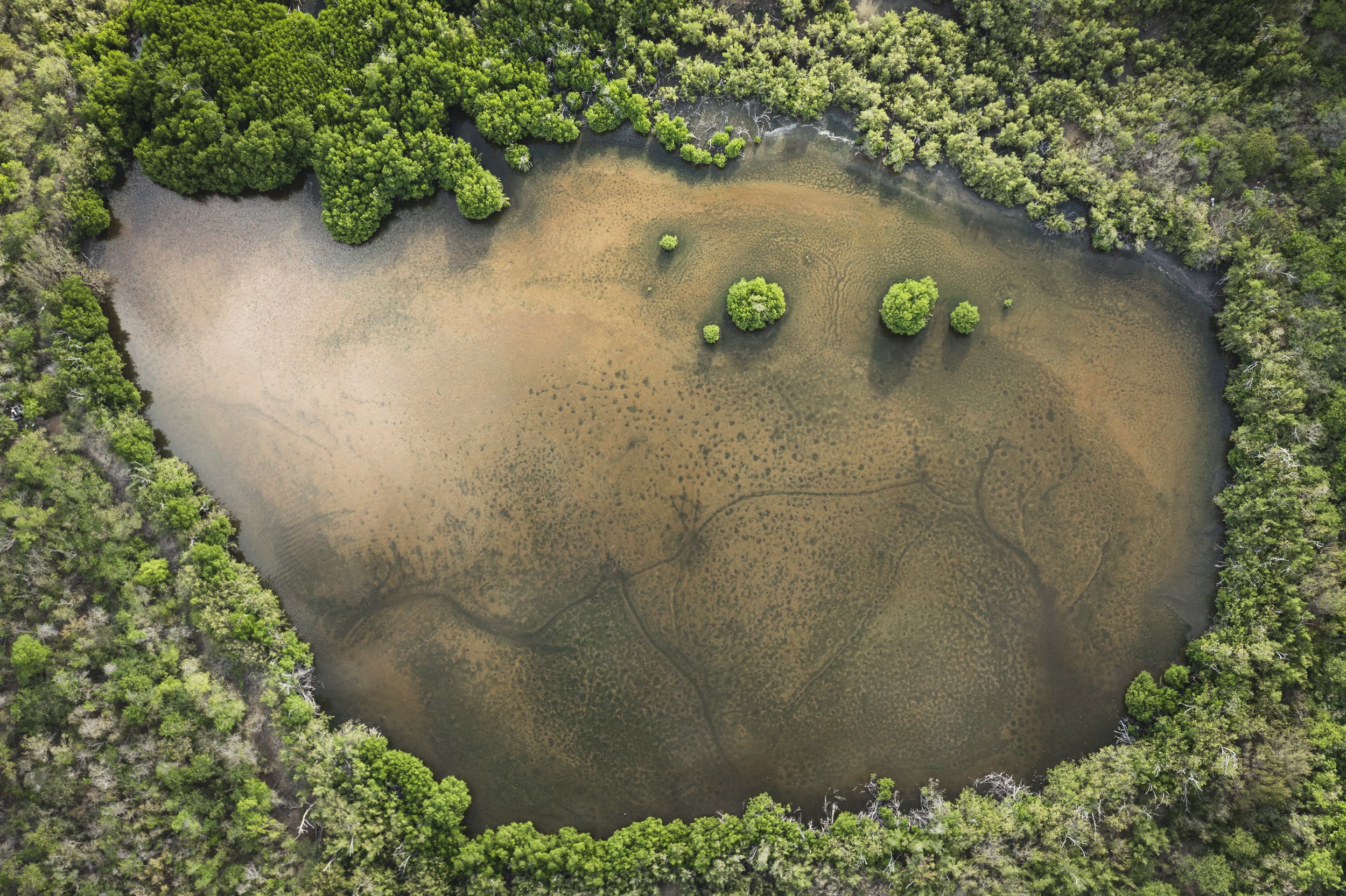 DJI_0674.jpg
