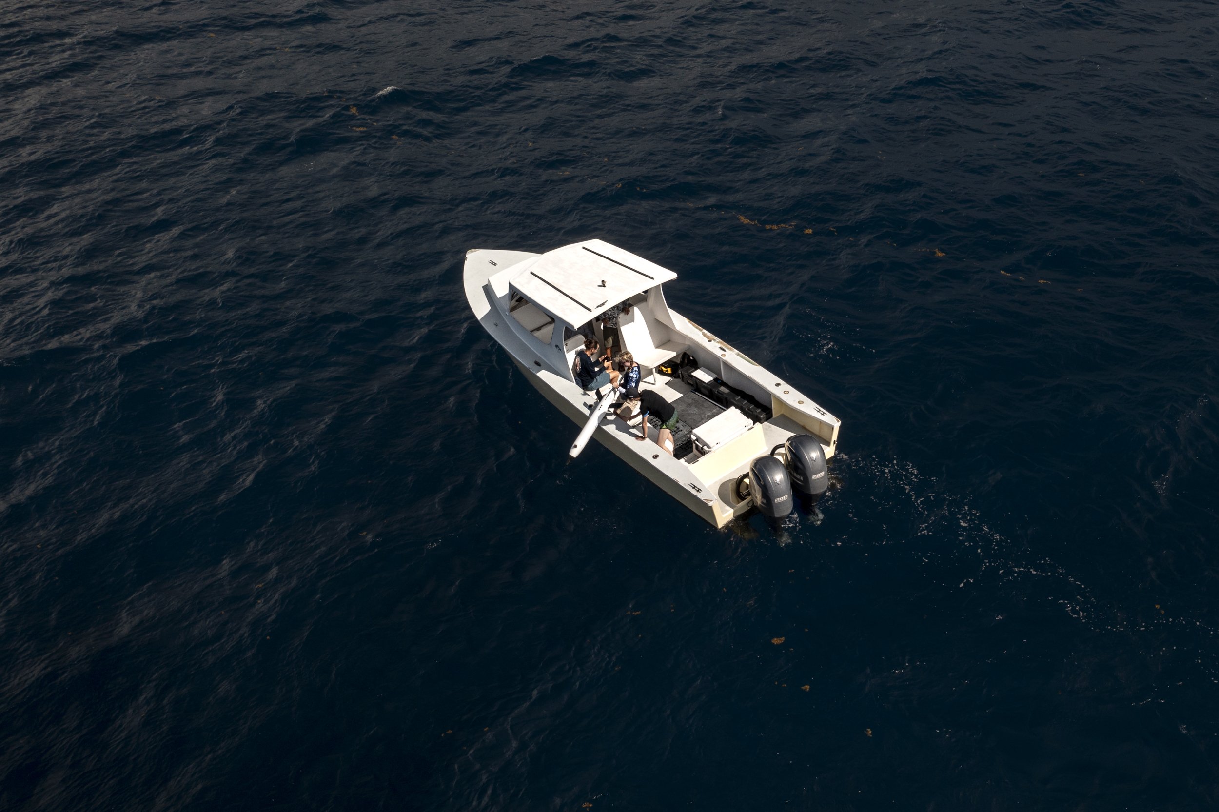DJI_0822.jpg