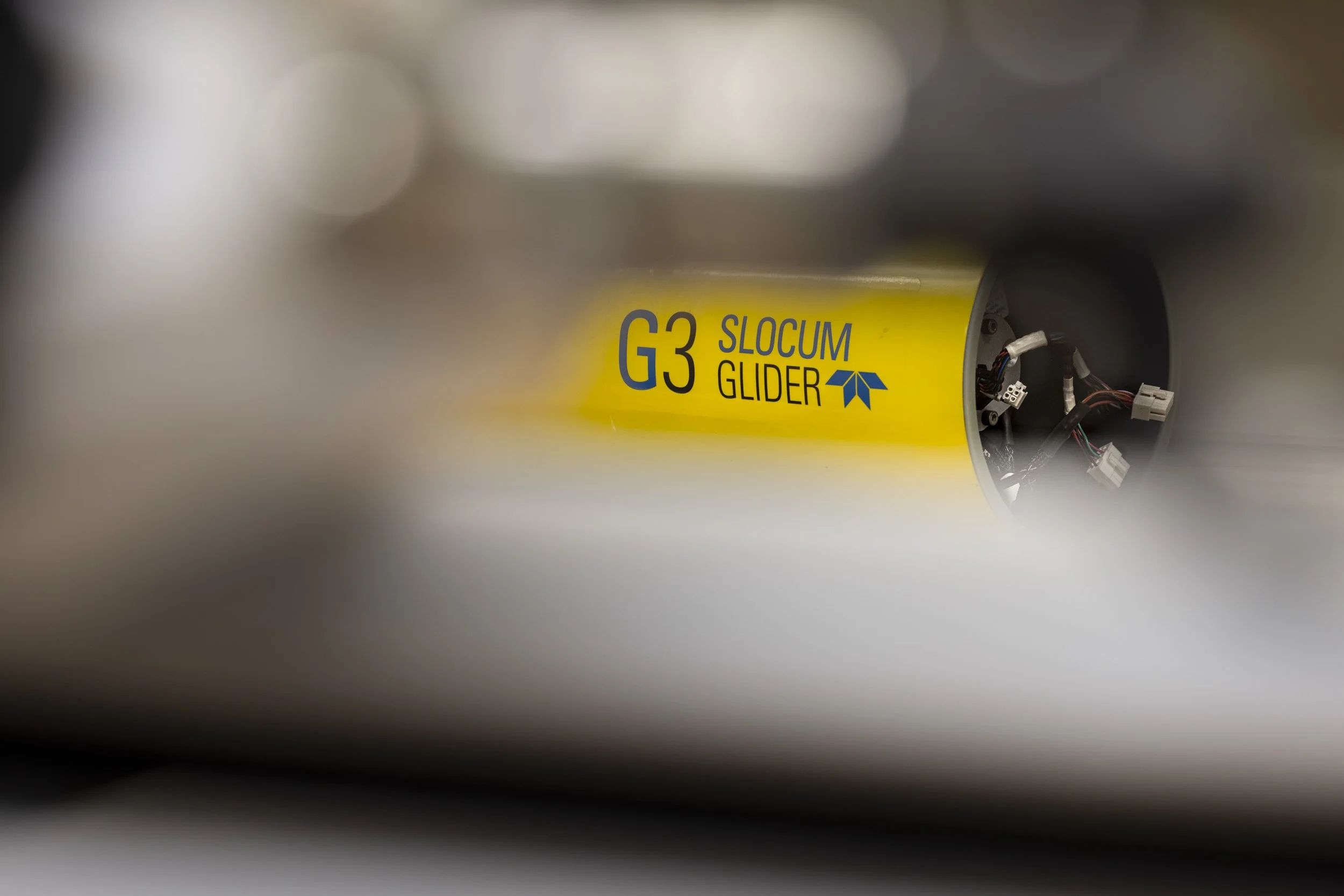 6D5A6629.jpg