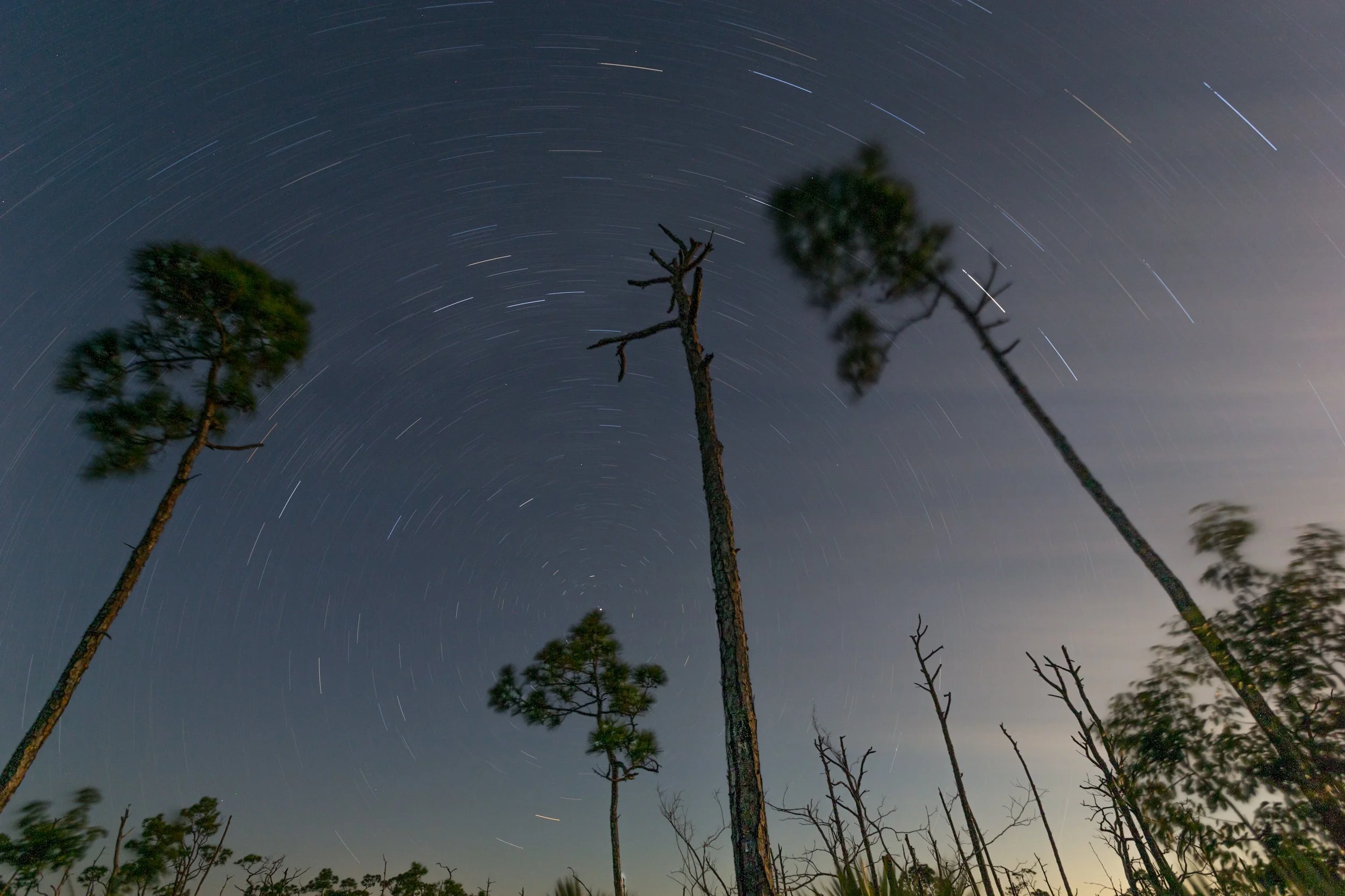 Big Pine Key, Florida Keys