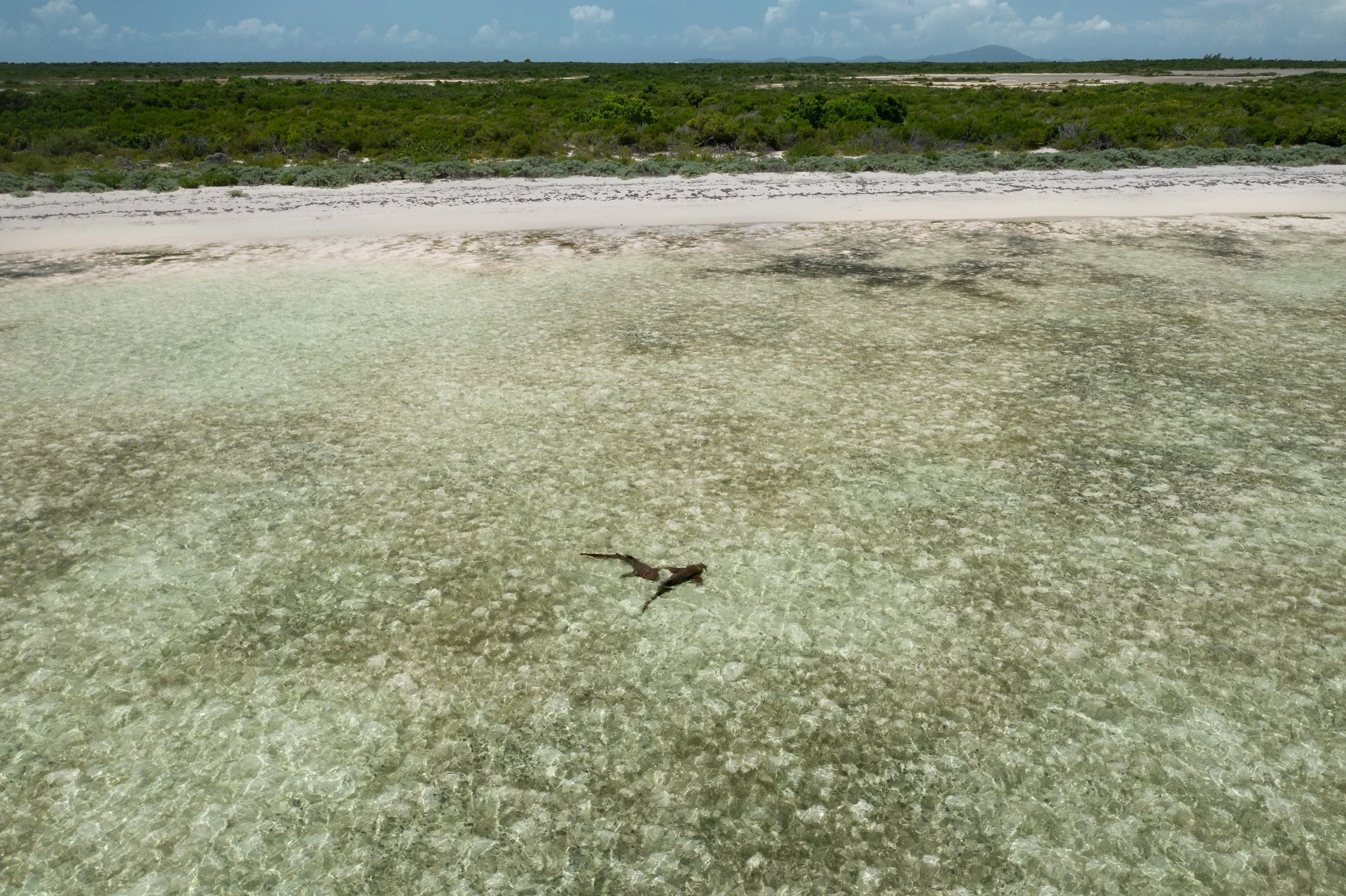 Anegada, British Virgin Islands