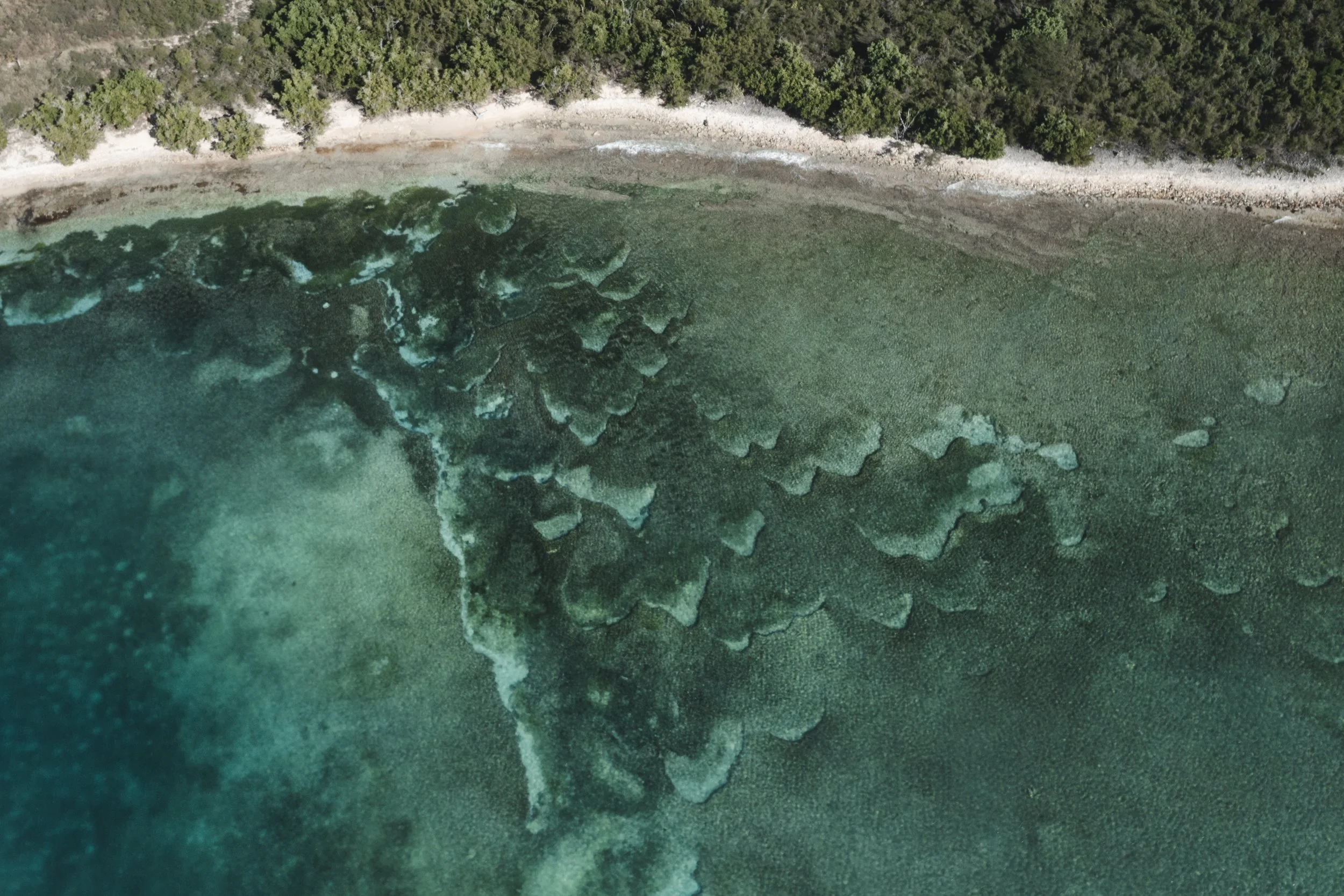 DJI_0002.jpg