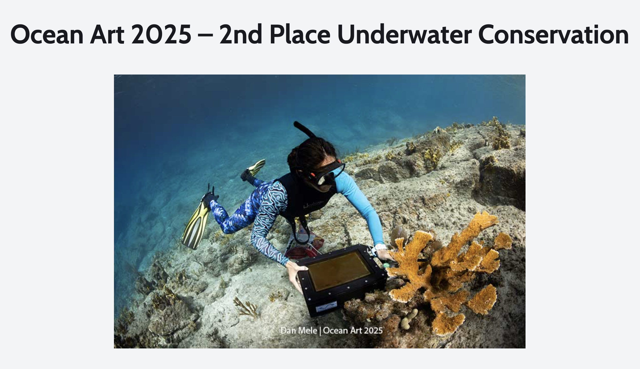 2nd Place - 2025 Ocean Art, Conservation