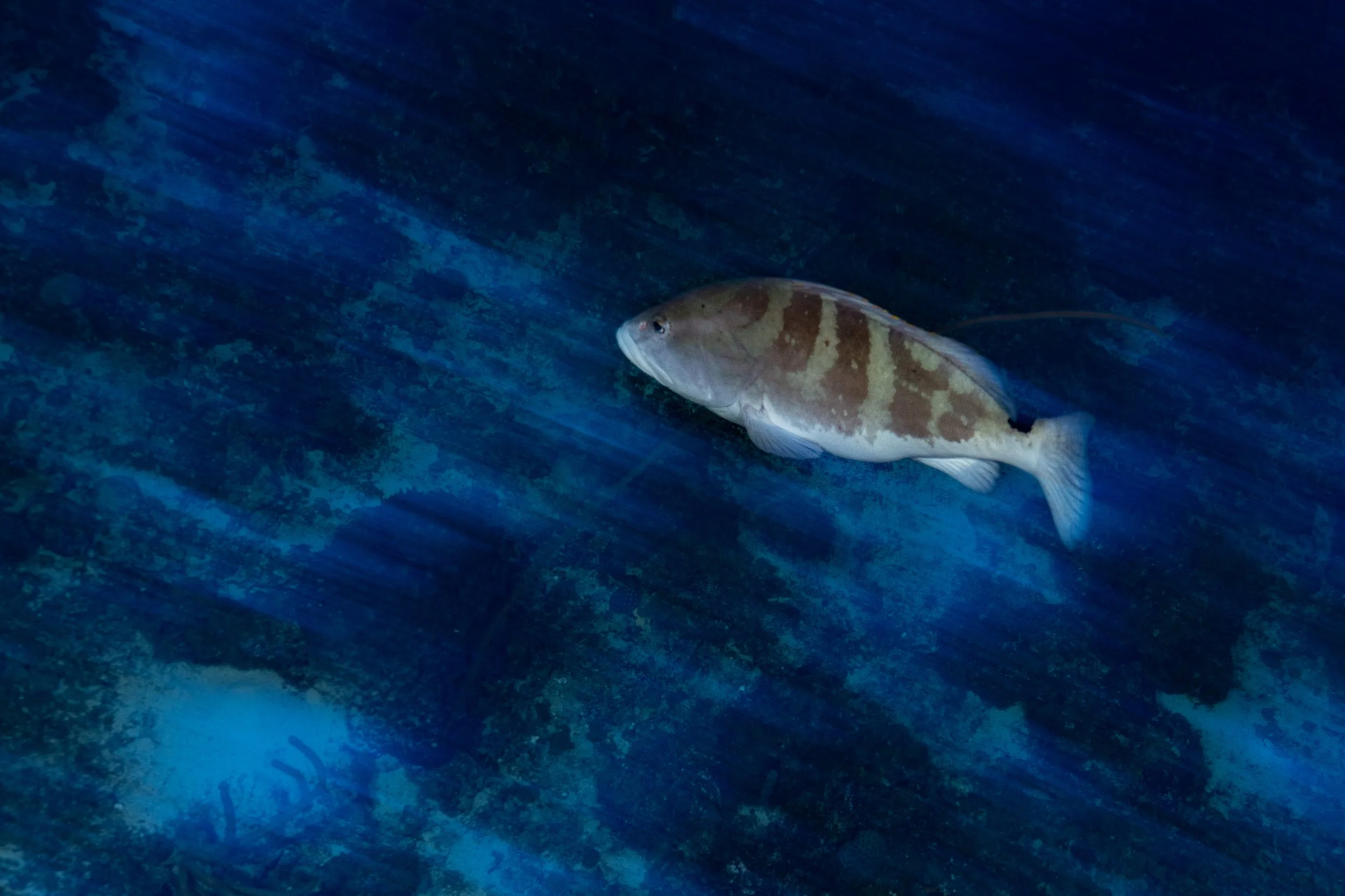 6D5A2638.jpg