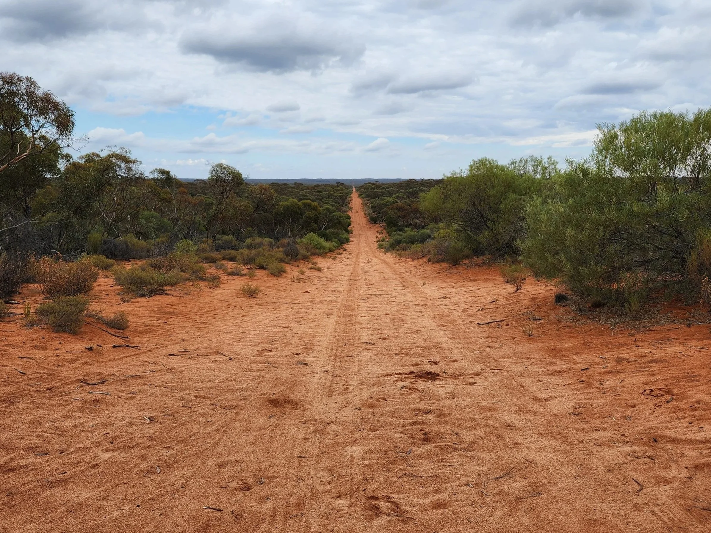 outback+road.jpg