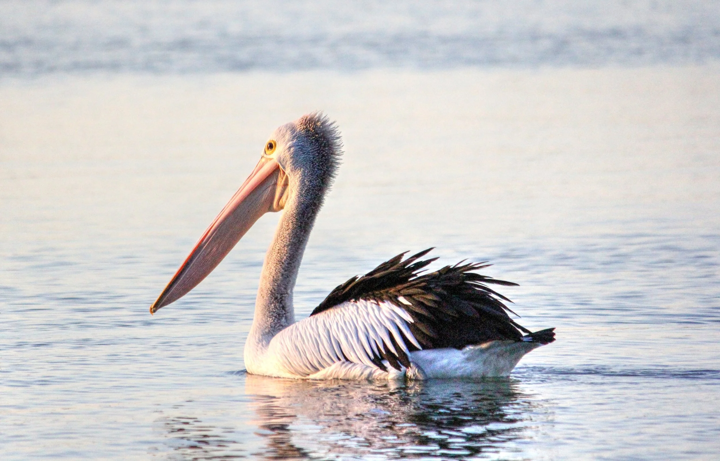 IMG_0925_tonemapped (2).jpg