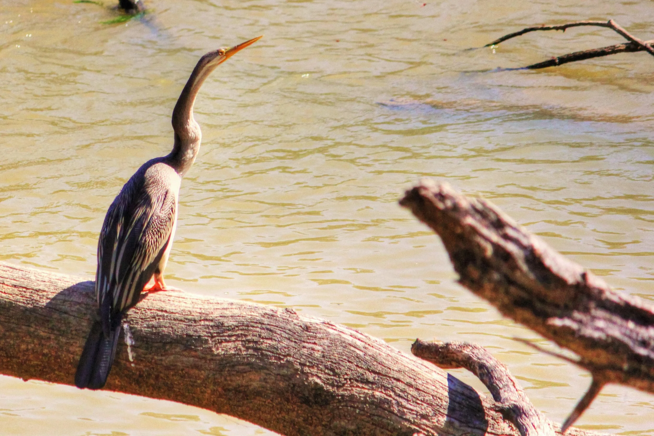 IMG_1456_tonemapped (2).jpg