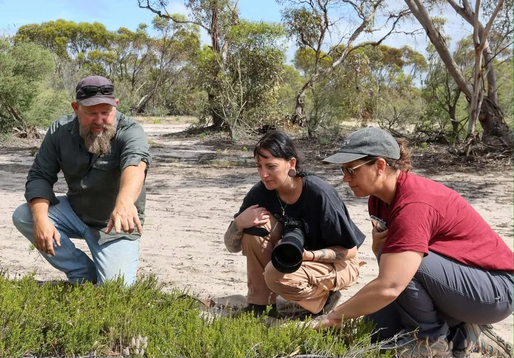 cultural multiday.jpeg