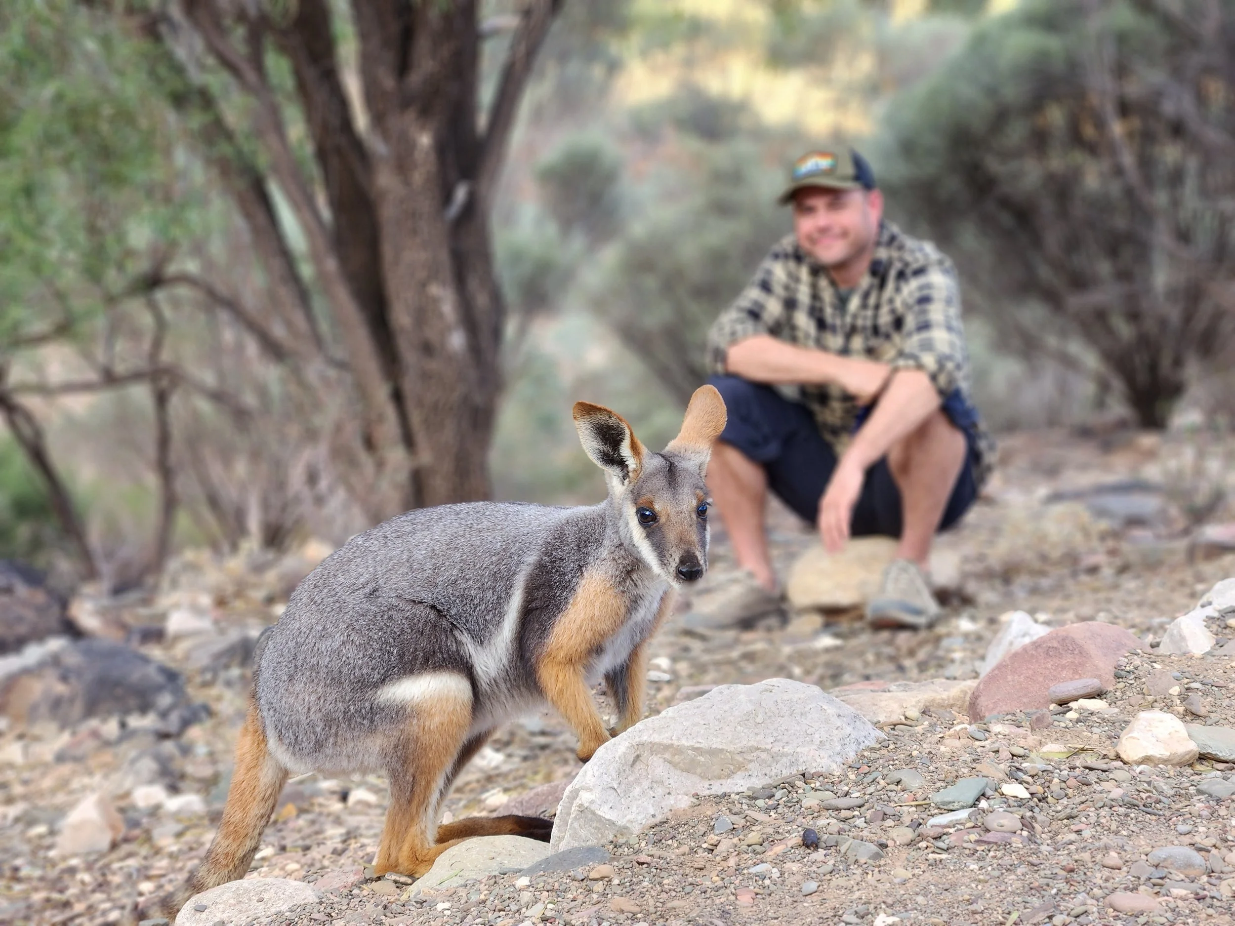 YFR wallaby flinders camp 3.jpg