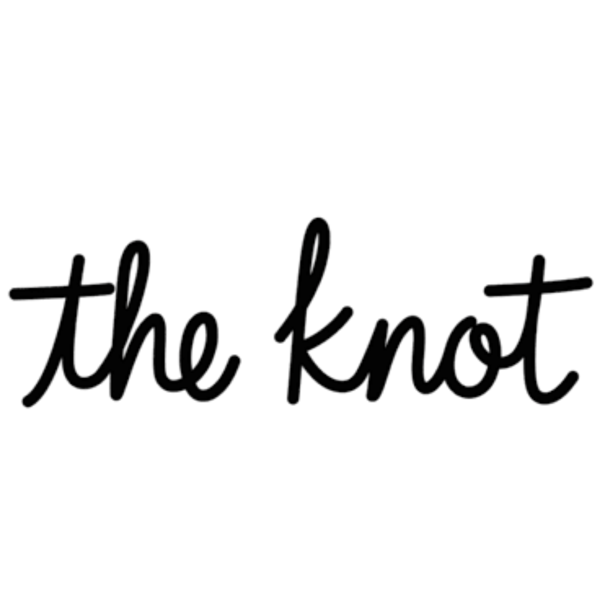 The Knot Logo