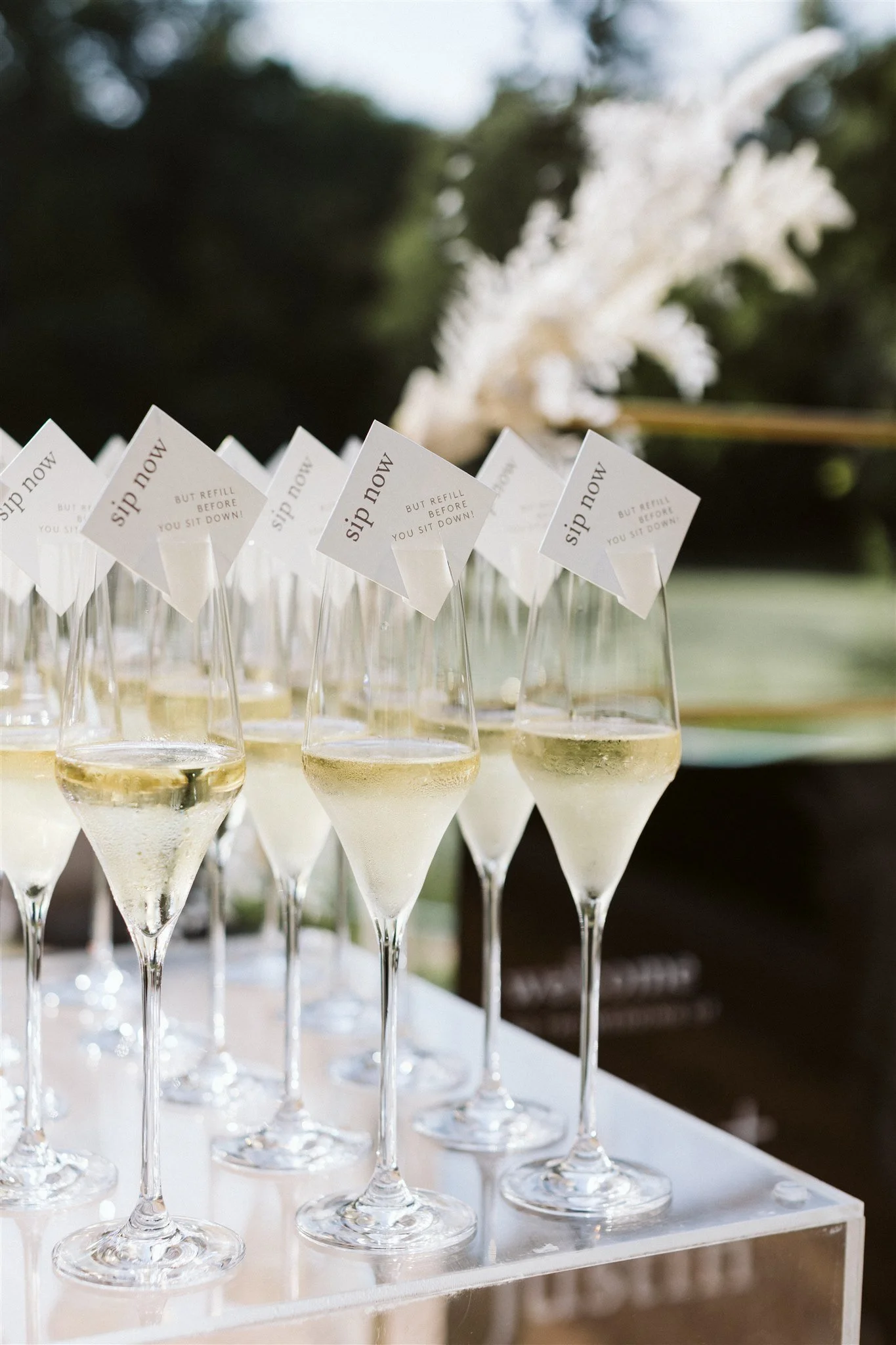 Champagne Toast at Wedding