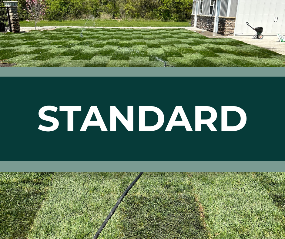 Standard lawn fertilization and weed control package with added pest protection.