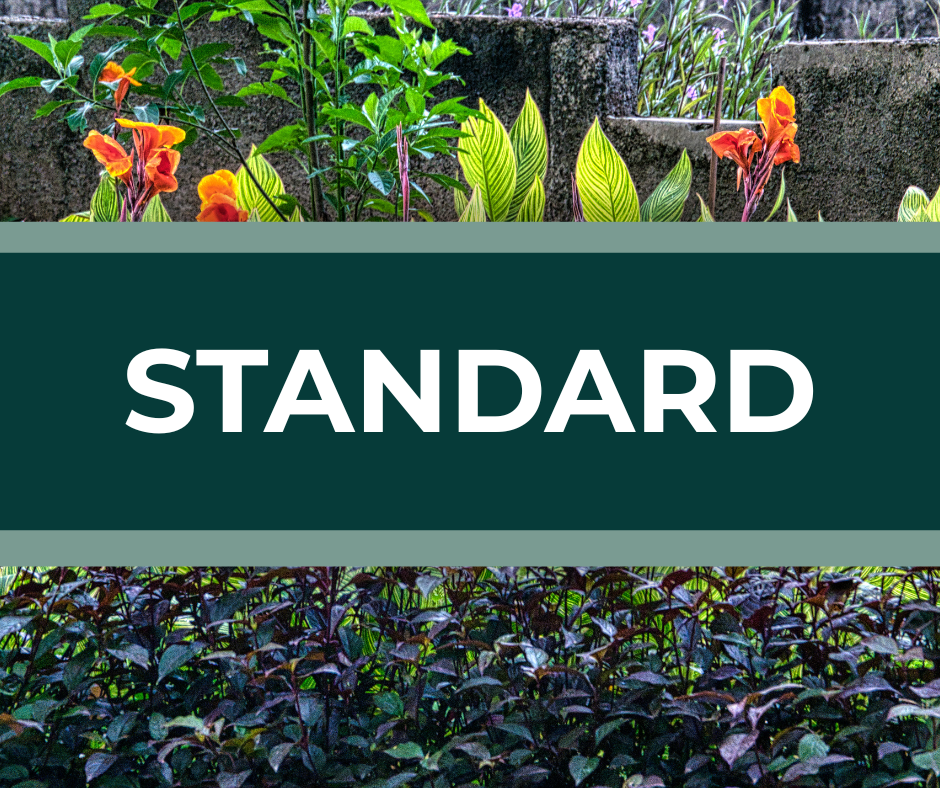 Standard landscaping plan with spring and fall cleanups and pruning services.