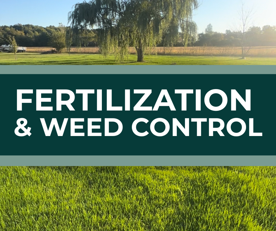 Lawn fertilization and weed control service in Sandusky and Northern Ohio