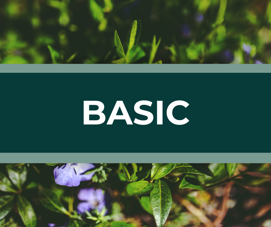 Basic landscaping plan featuring mulch, edging, and shrub trimming.