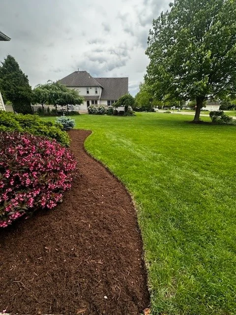A landscaped yard with a dirt walkway winding through green grass, pink flowering bushes, trees, and a large house in the background under cloudy skies.