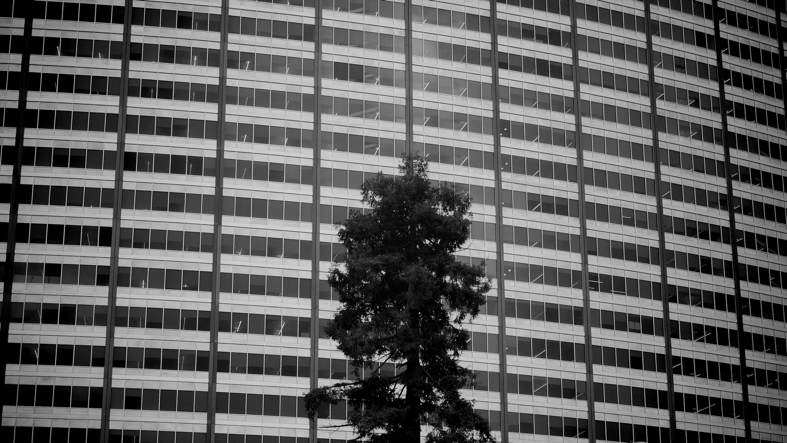  The Fifth Line  Kaiser Matrix Lake Merritt, Oakland, 2026  LUMIX G85  |  Prime  |  Digital 