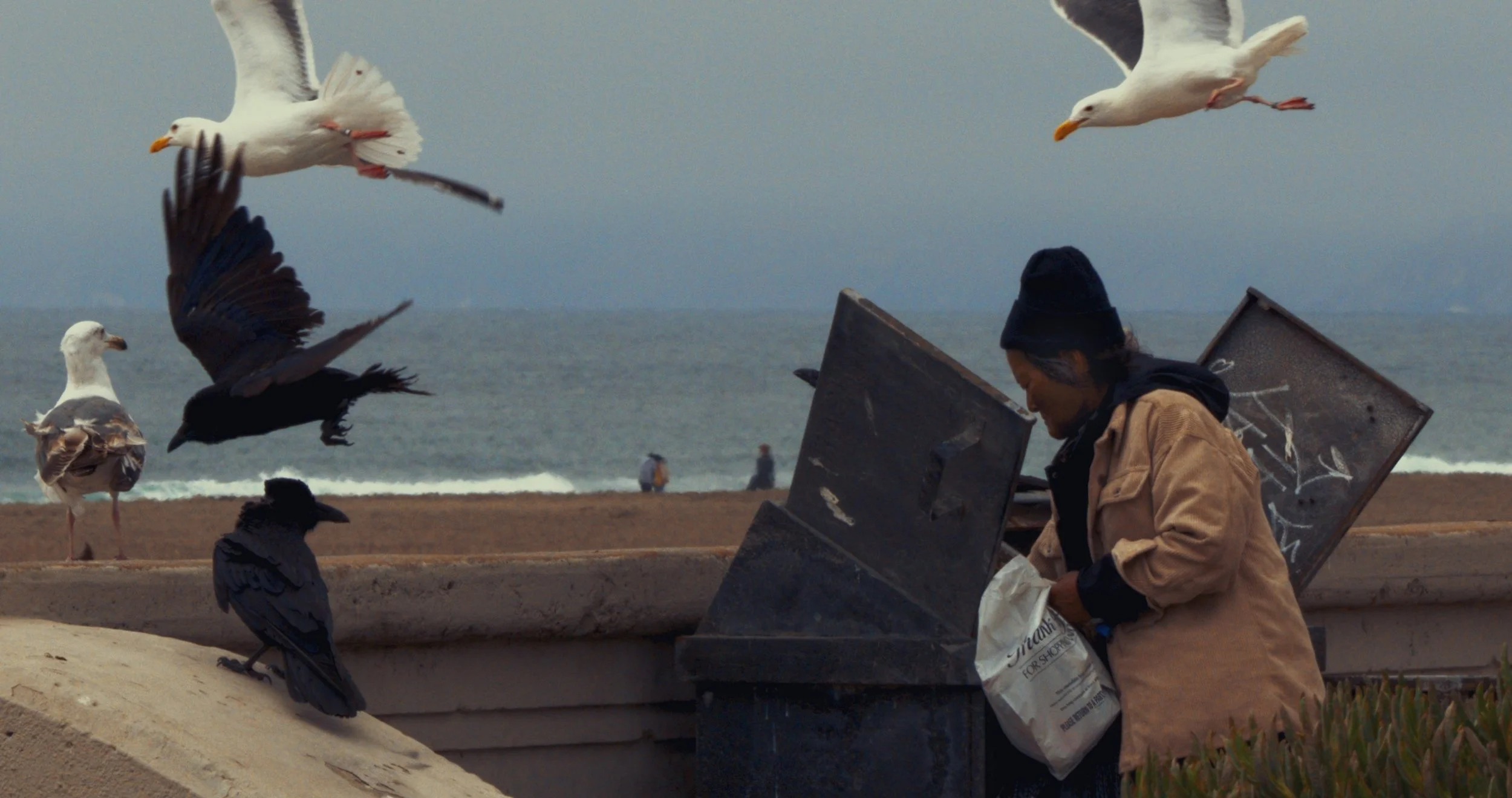  The Foragers  Parallel Scavengers Ocean Beach, SF, 2023  LUMIX GX85  |  Telephoto  |  Digital 