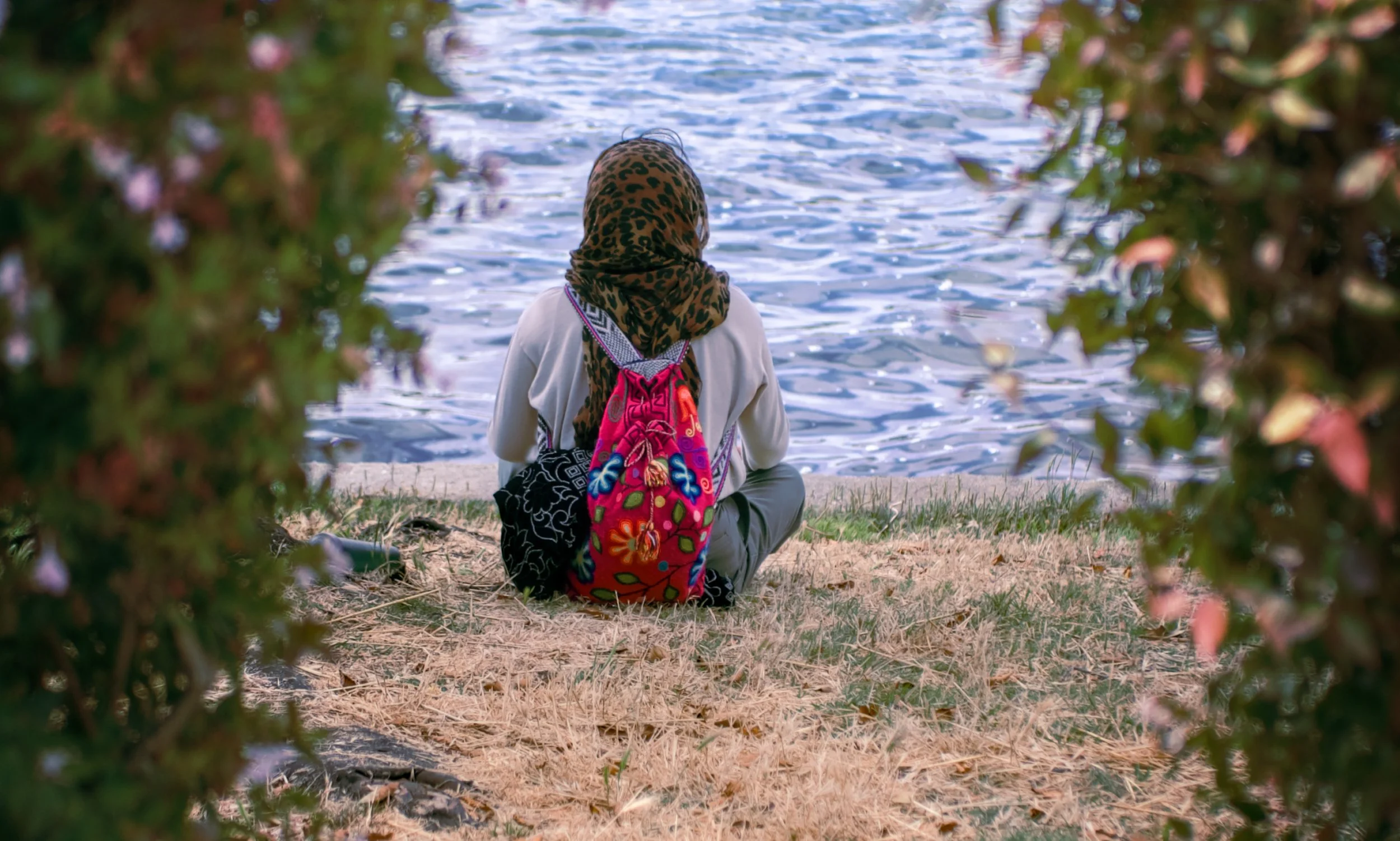  The Quiet Interval  Protective Framing Lake Merritt, Oakland, 2025  LUMIX G85  |  Prime  |  Digital 