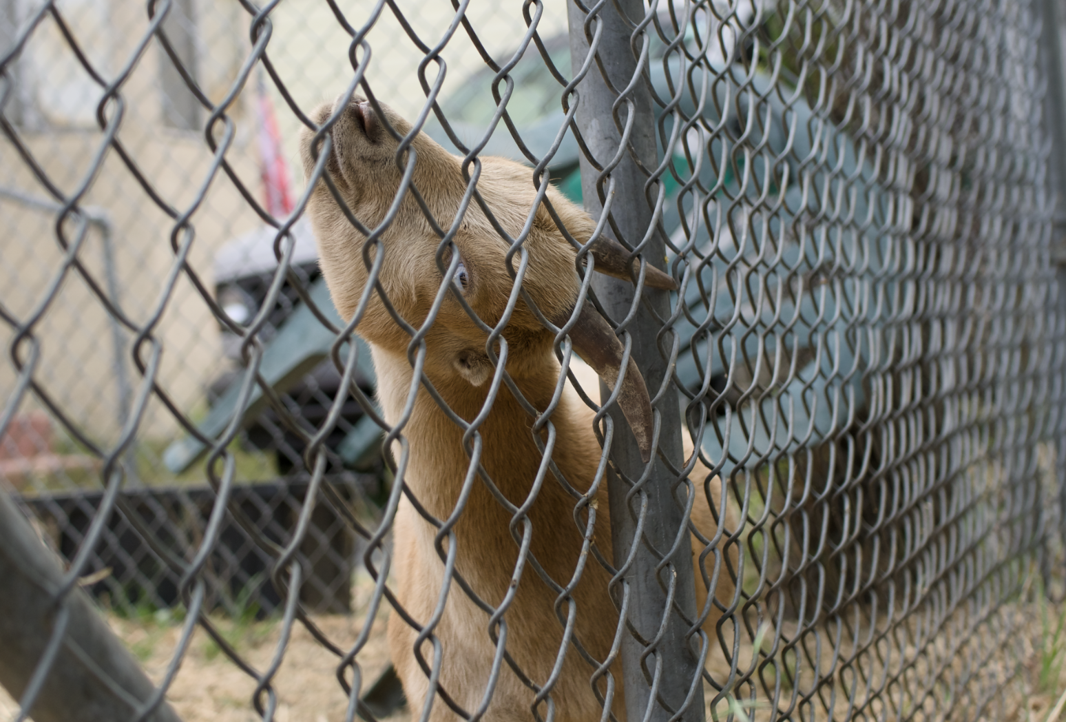  
  ORIGIN: OAKLAND_CA  //  ID: 260122_OAK 
  LOG: AWAITING_INPUT
 