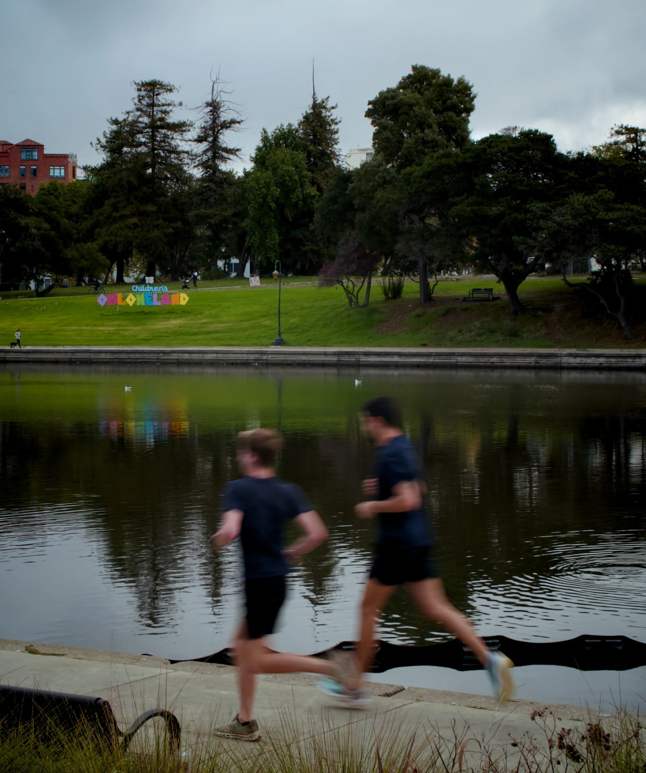  Fairyland Blue  Urban Flow Lake Merritt, 2025  LUMIX G85  |  Prime  |  Digital 