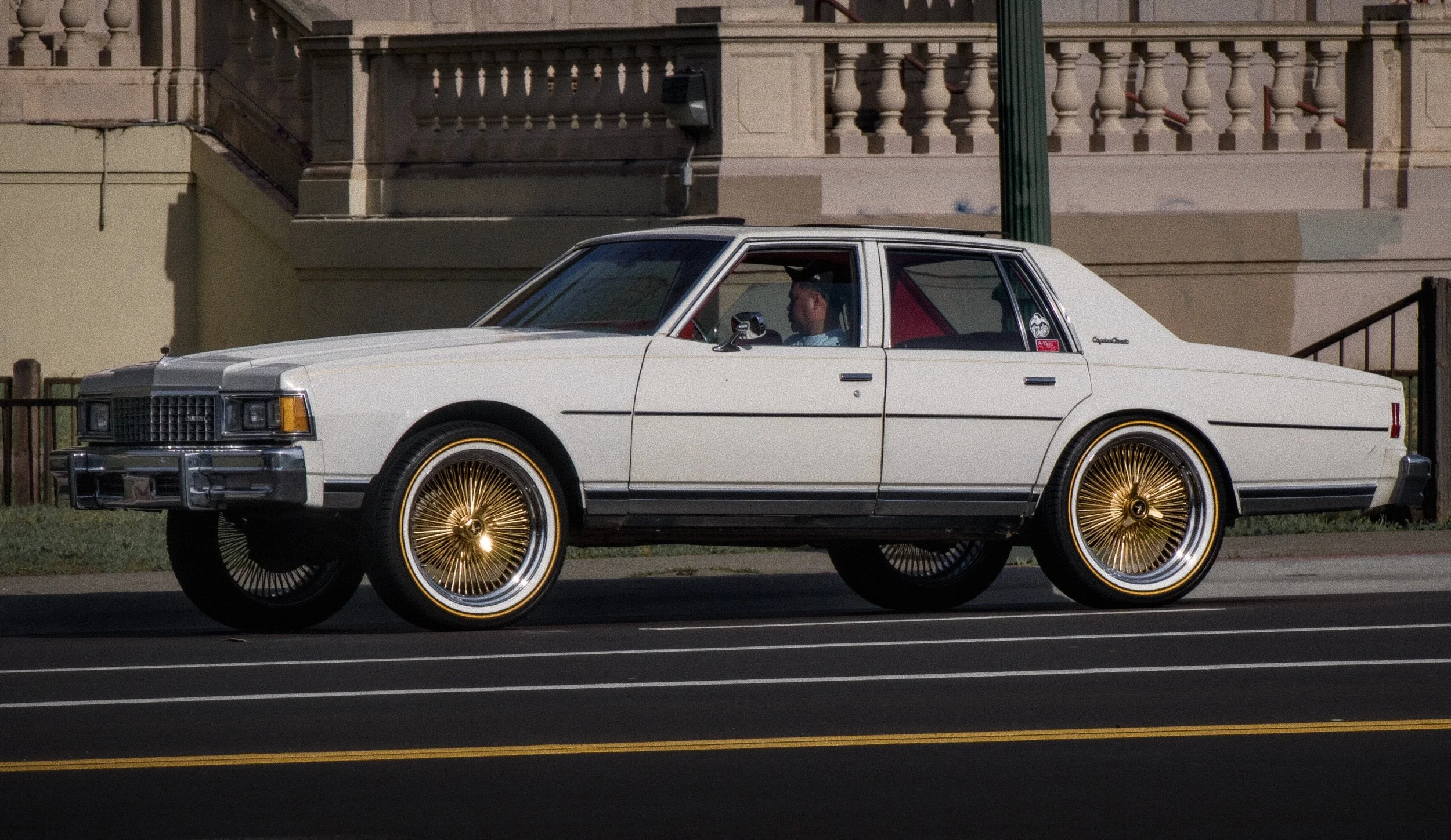  Sunday Gold  White Caprice, Lake Merritt Oakland, 2026  LUMIX G85  |  Telephoto  |  Digital 