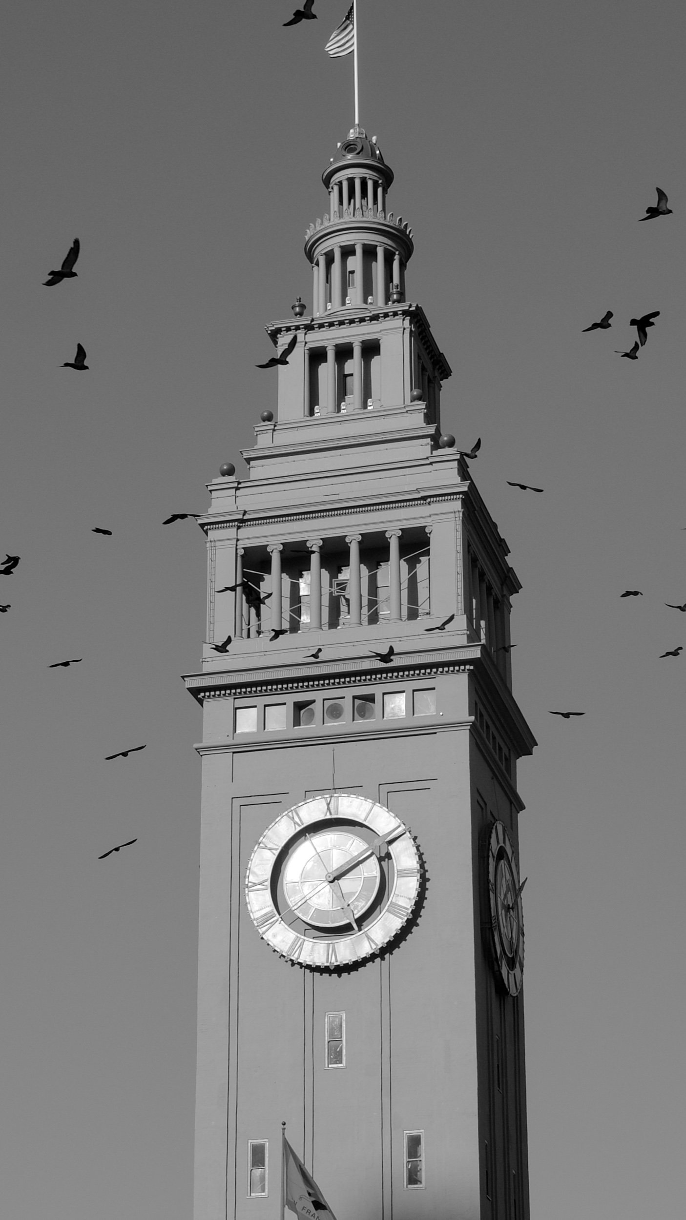  The Watchtower  Staring through time San Francisco, 2025  LUMIX G85  |  Prime  |  Digital 