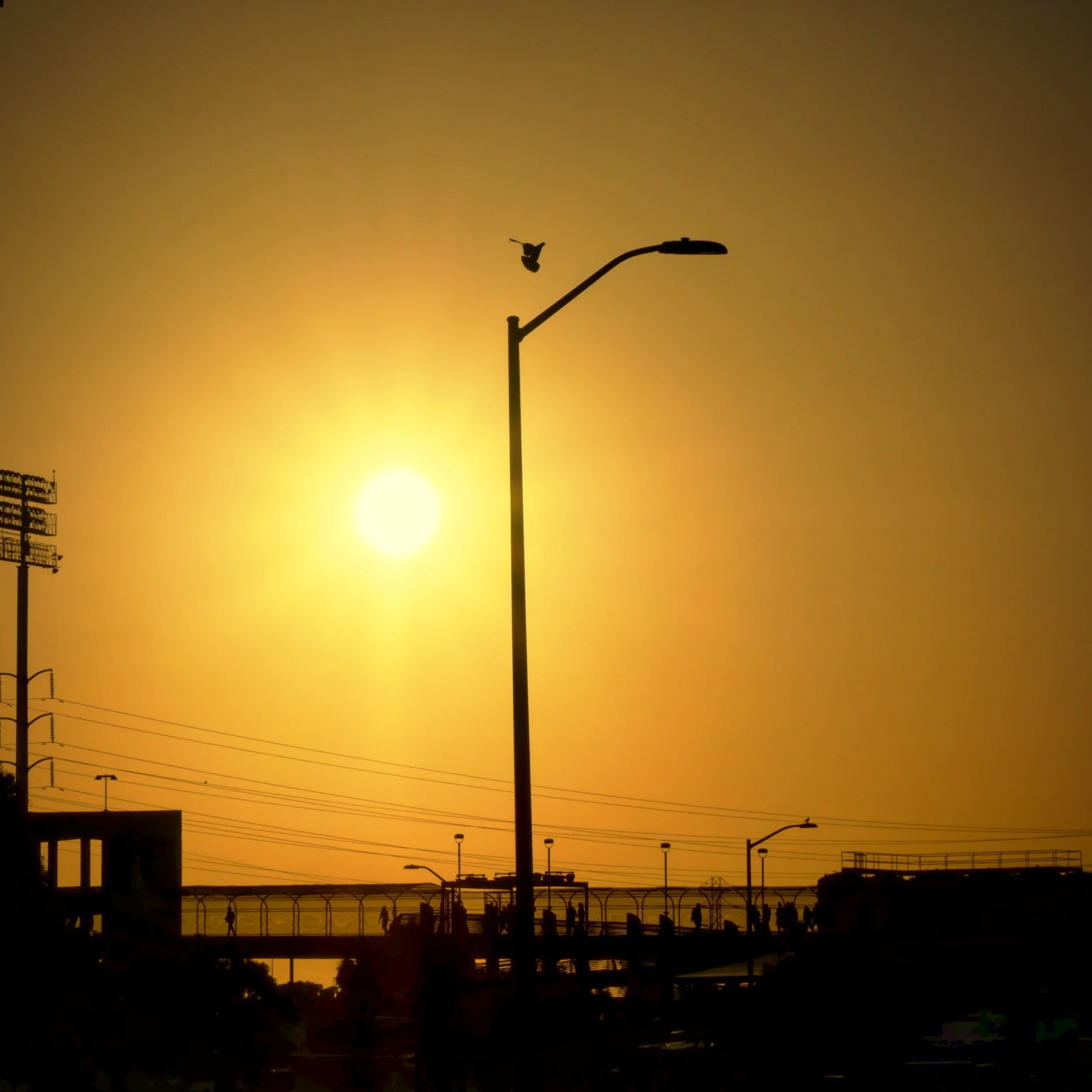  Coliseum Gold  Oakland Coliseum BART catwalk  BART, Oakland, 19th St. 2019  LUMIX GX85  |  Telephoto  |  Digital 