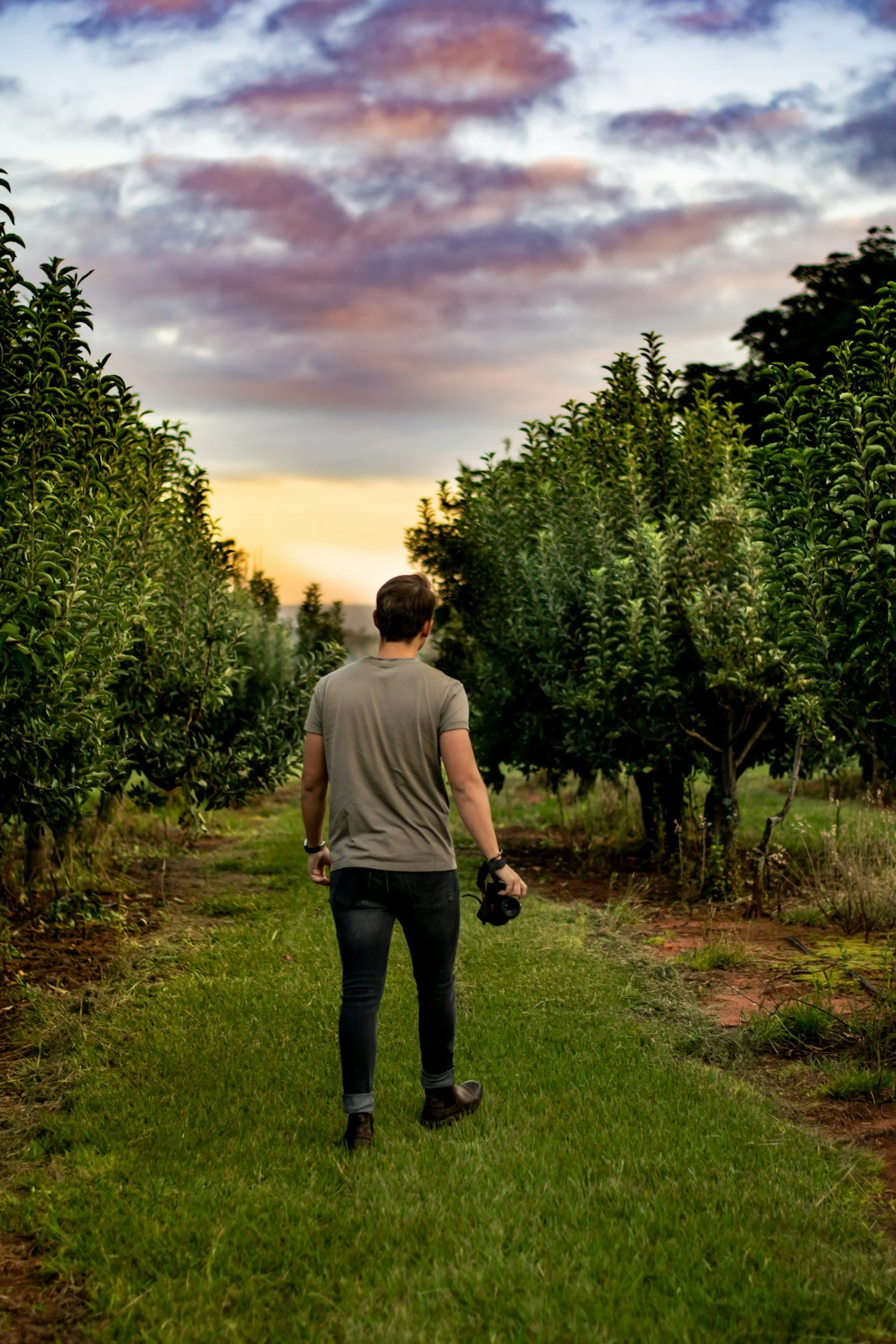Mens health naturopath yeppoon represents A man walking on a grassy path between trees at sunset, holding a camera in his right hand.
