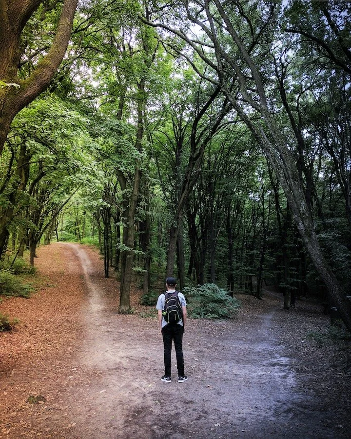 A person with a backpack walking on a forked dirt trail in a lush green forest.