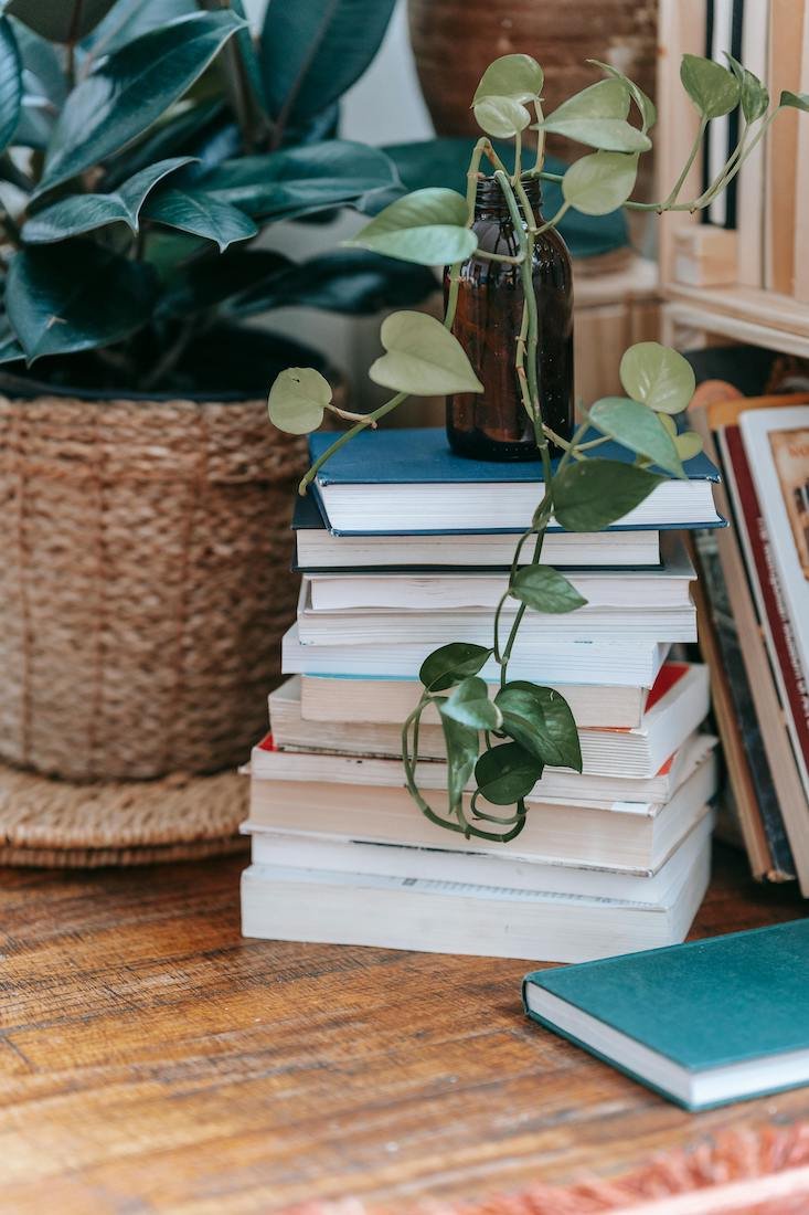 Yeppoon naturopath, Bjorn Paech has a Stack of books on a wooden surface with a potted plant and a small glass bottle on top, and other plants nearby.