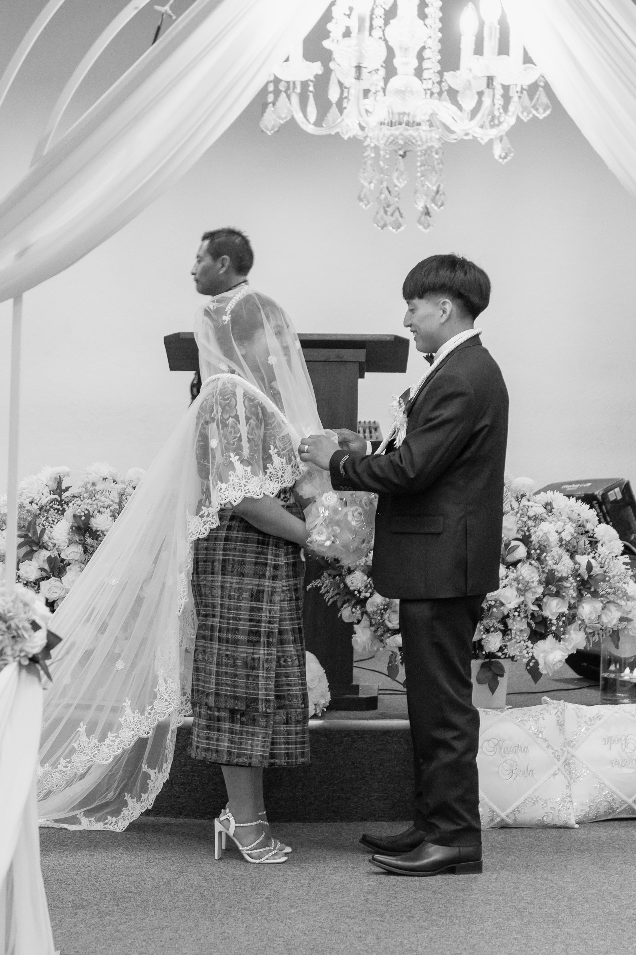 A young woman in a pink ball gown and crown standing on steps under a pergola with green foliage behind her.