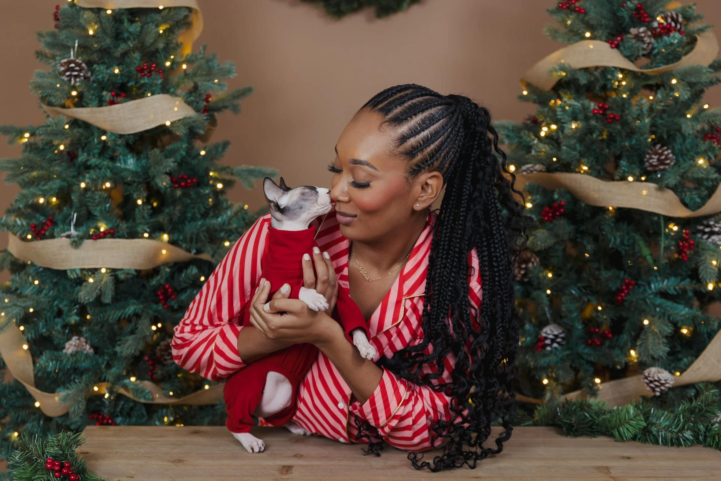 Henry_HolidayMinis12 (1).JPG