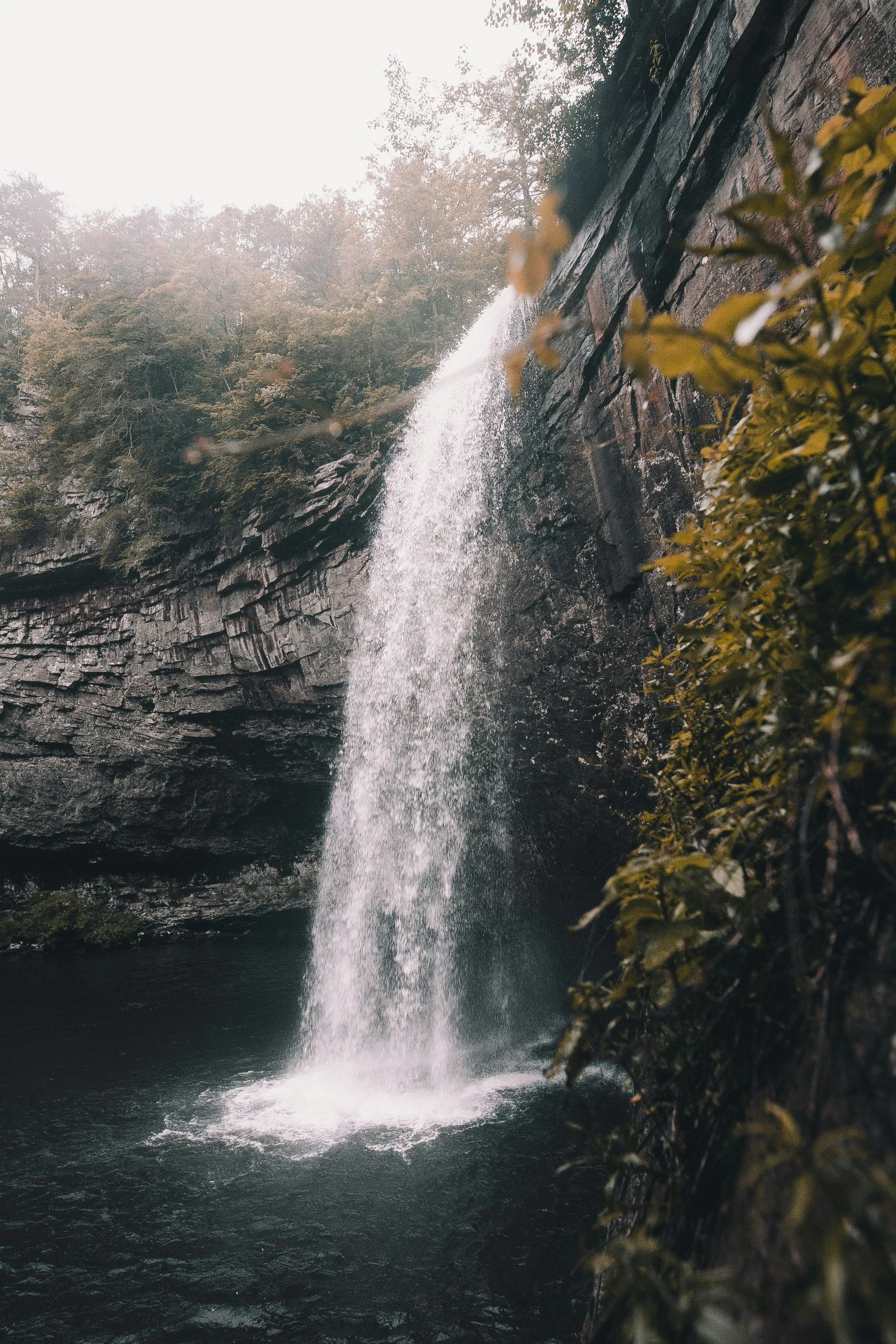 A waterfall cascading over a rocky cliff into a dark pool surrounded by trees and foliage
