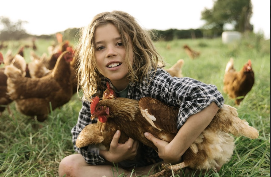 Girl holding a chicken while sitting on grass on a farm with chickens in the background.