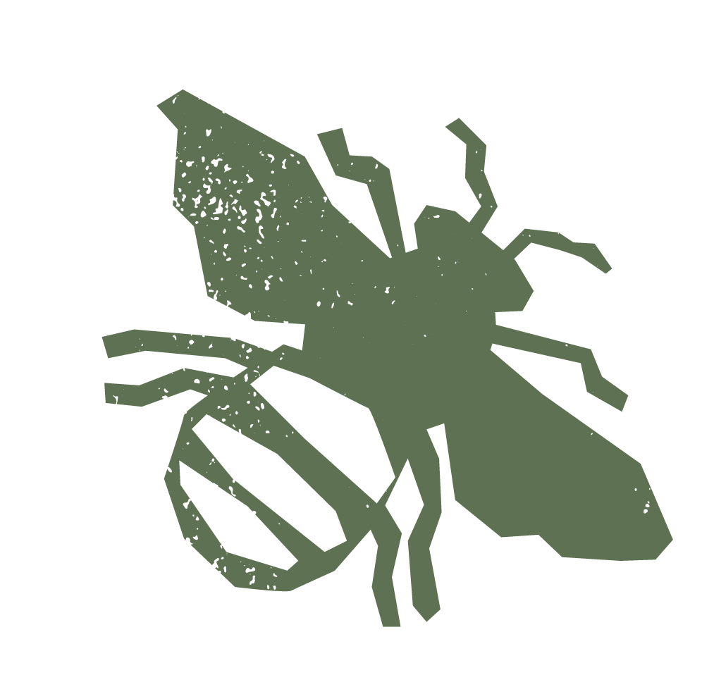 Silhouette of a fly with transparent wings on a black background.