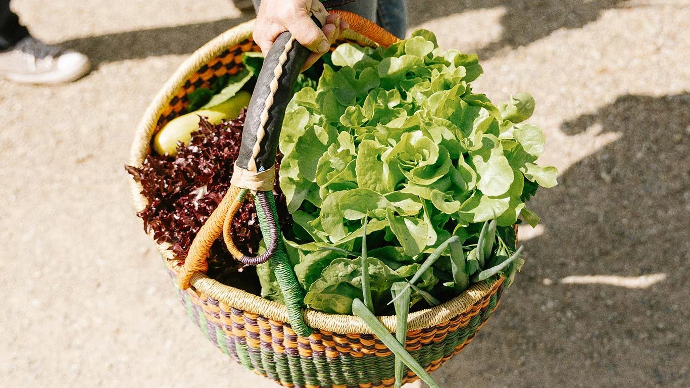 Localisation &amp; Seasonality