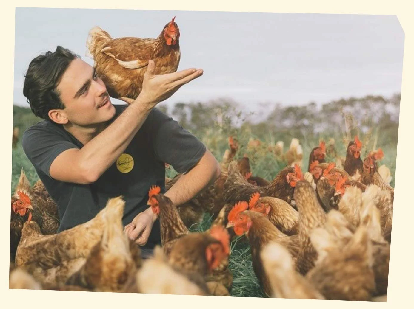 A man holding a chicken in a field filled with many chickens around.