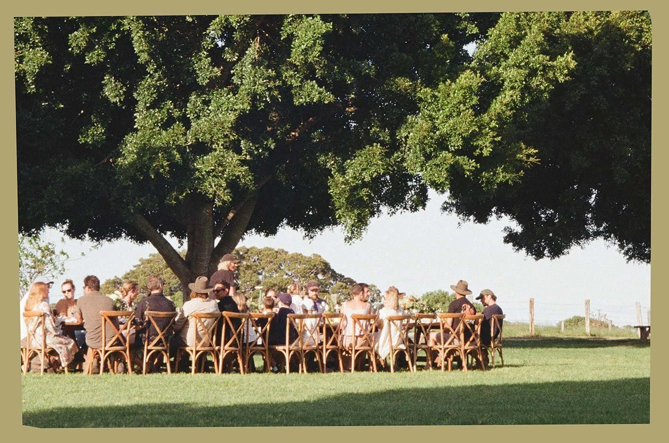 People gathered around a long table outdoors beneath a large leafy tree on a sunny day.
