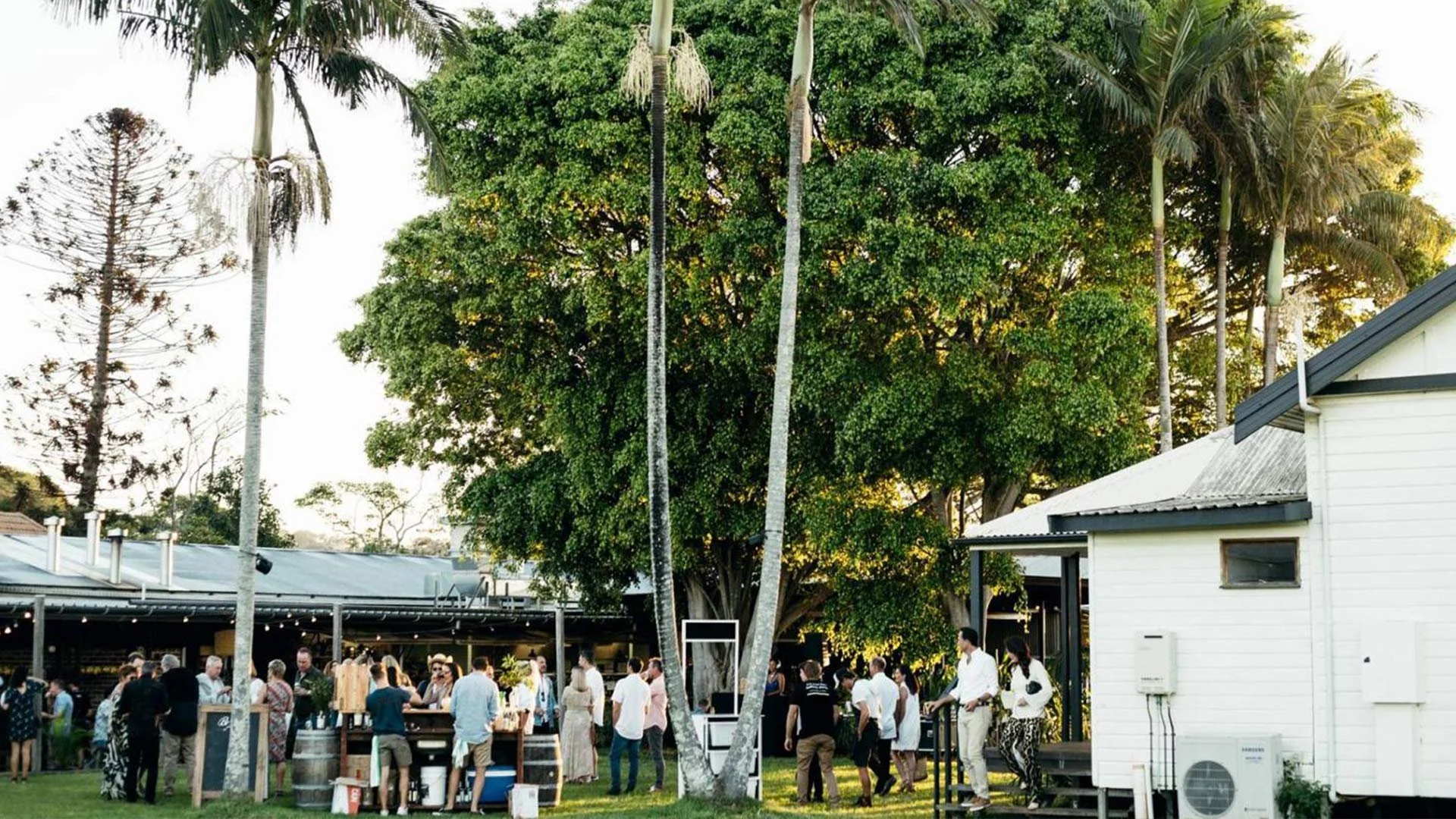 People gathered outdoors at a social event under large trees and a building with a metal roof, with string lights visible.