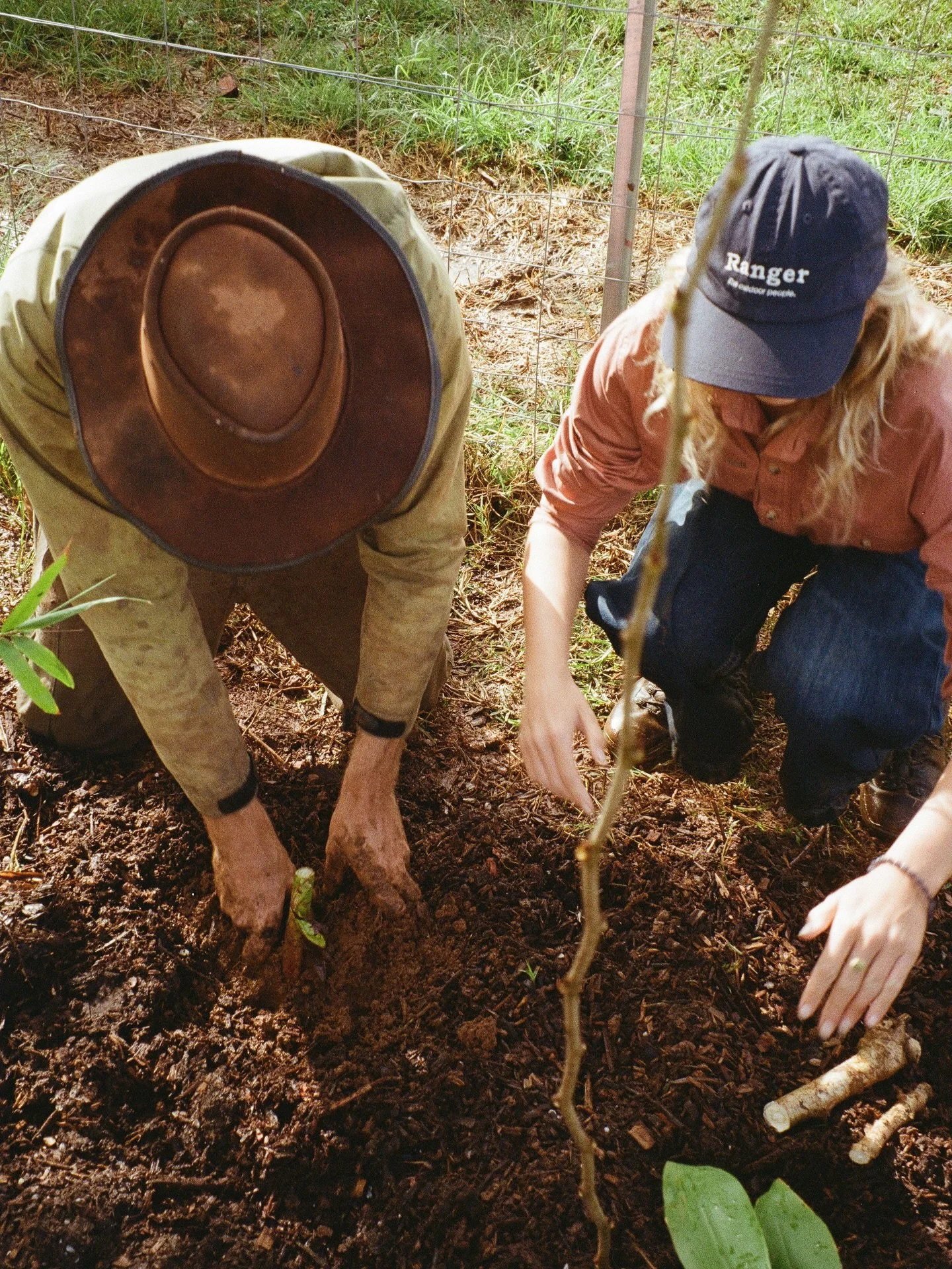 Two people planting a small tree in the soil. One person is wearing a wide-brimmed hat and beige clothing, while the other is wearing a navy cap and an orange shirt. They are outdoors in a natural setting with grass and fencing in the background.