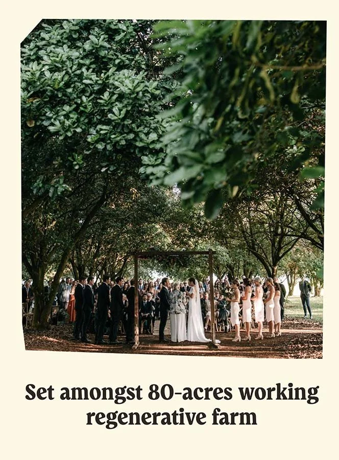 A wedding ceremony taking place outdoors under trees with many guests, standing around the bride and groom who are exchanging vows.