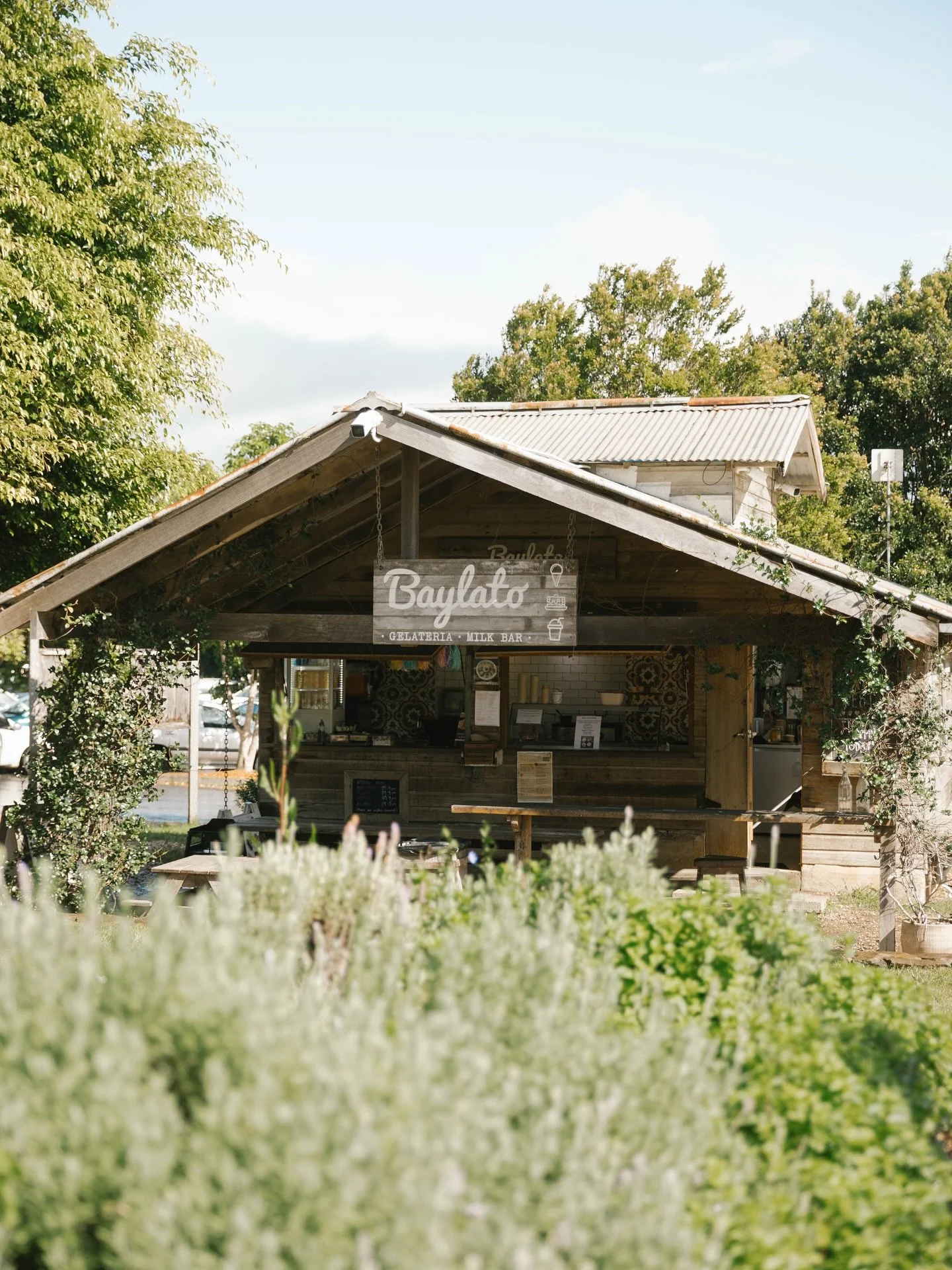 An outdoor wooden ice cream shop named 'Baylato Gelateria Milk Bar' with greenery and trees around, a menu on the wall inside, and a picnic table outside, under a clear sky.