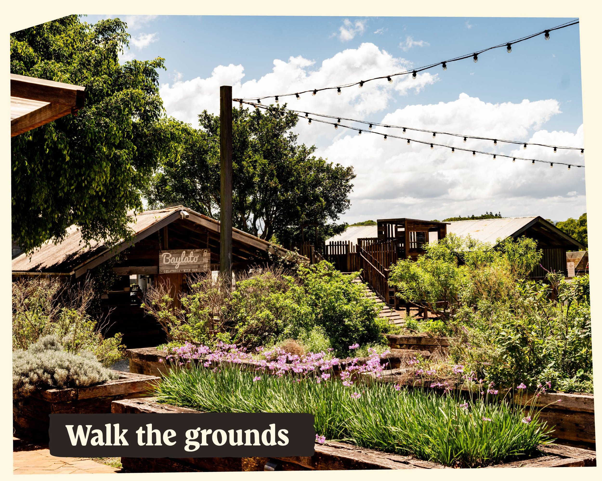 Outdoor garden scene with trees, flowering shrubs, and string lights under a partly cloudy sky. Wooden structures and a sign that says "Walk the grounds" are visible.